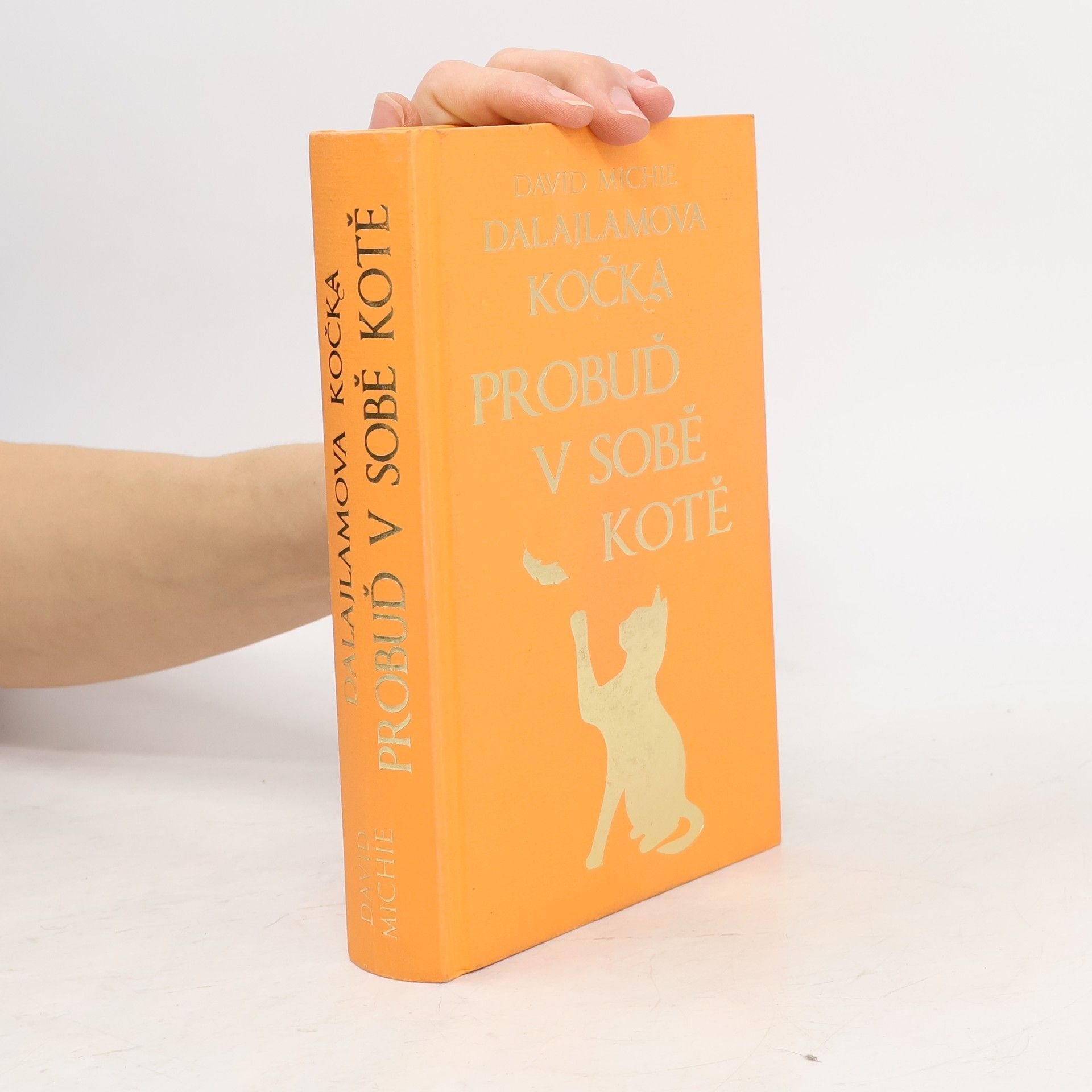 Dalajlamova kočka - probuď v sobě kotě