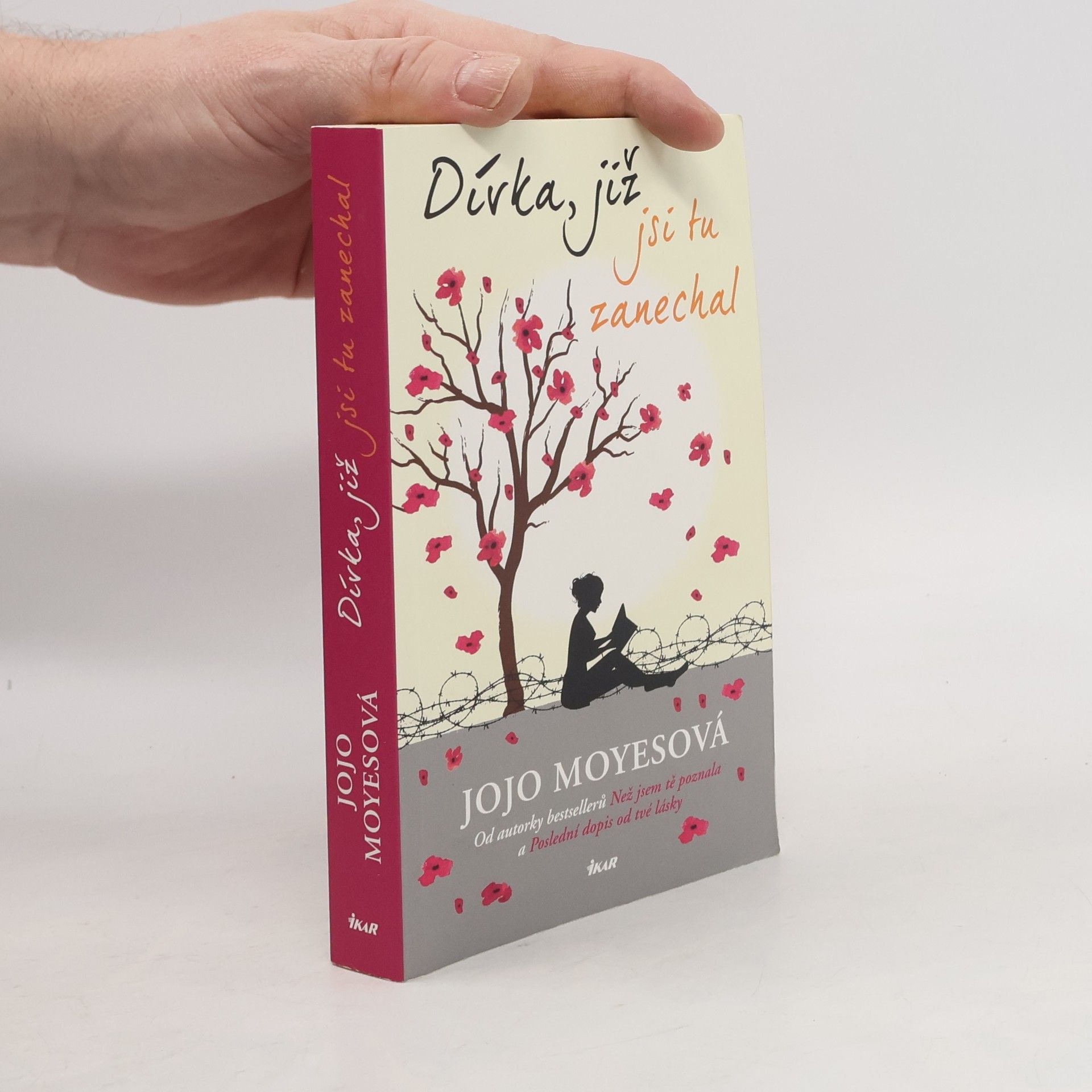 Jojo Moyes Dívka, již jsi tu zanechal
