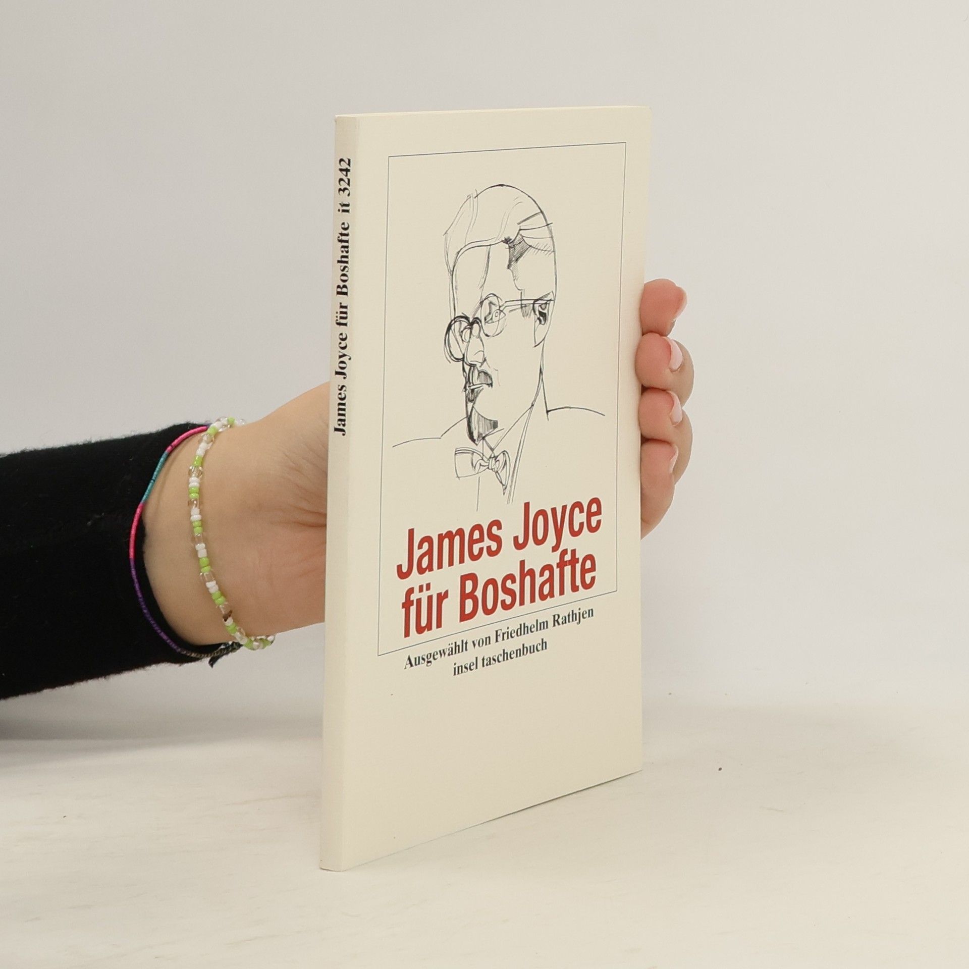 James Joyce Insel Taschenbuch: James Joyce für Boshafte