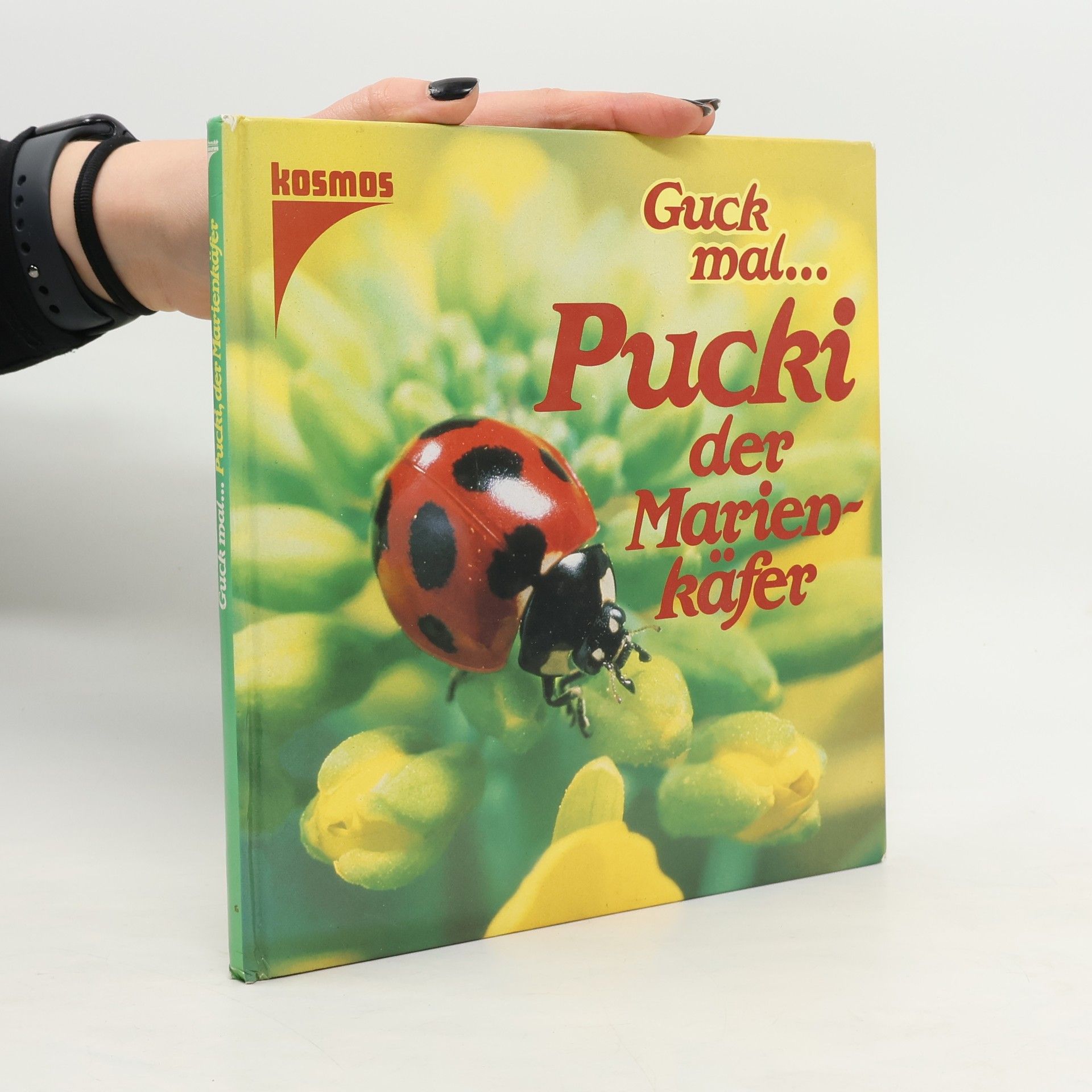 Barbara Hummel Pucki, der Marienkäfer