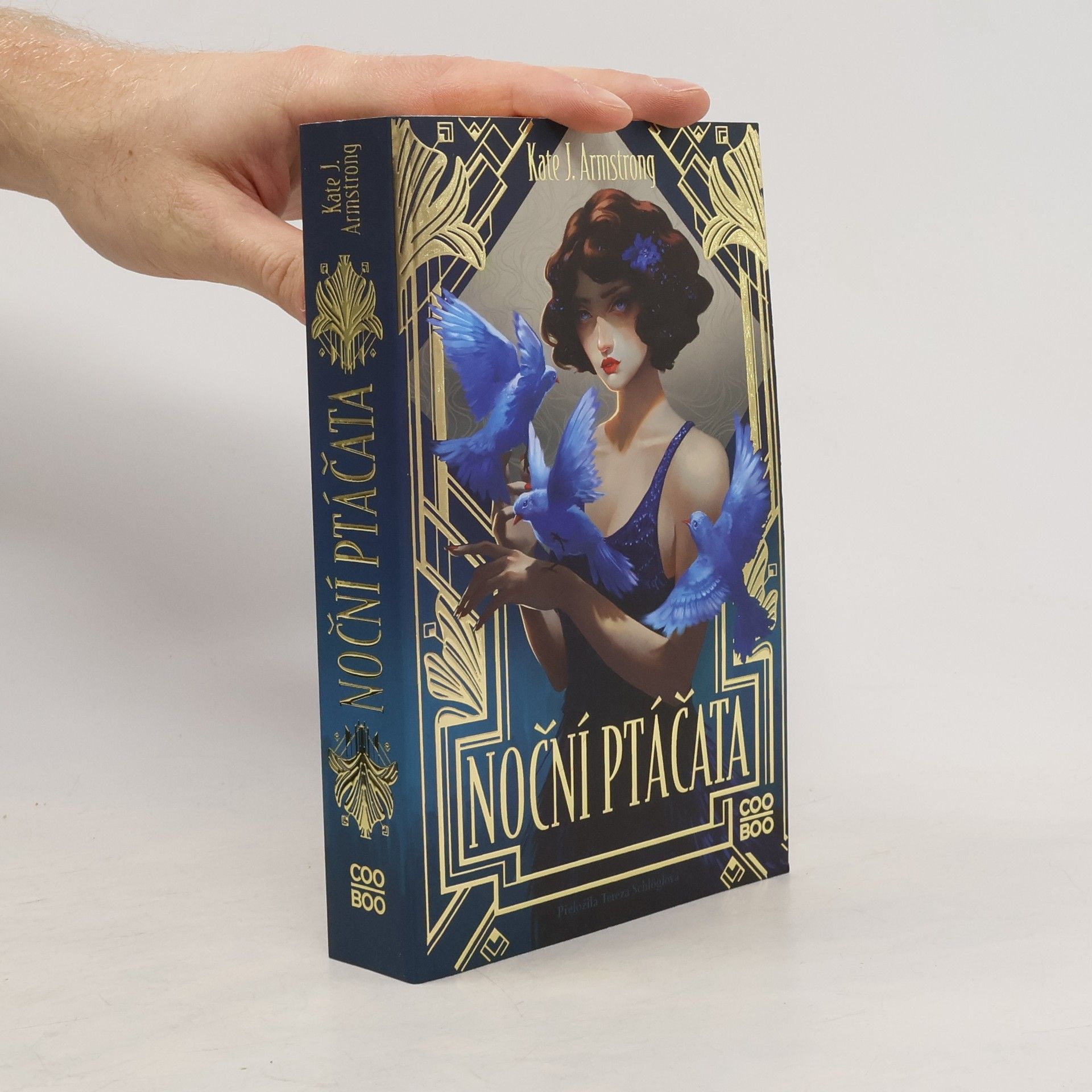 Tereza Schlöglová Noční ptáčata