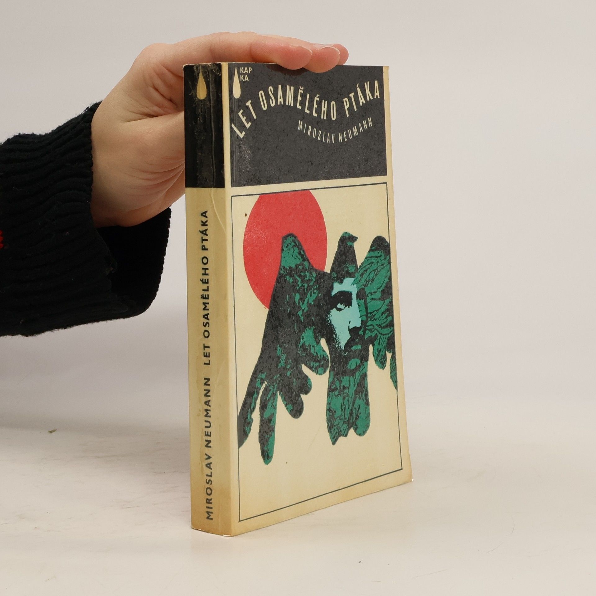 Let osamělého ptáka