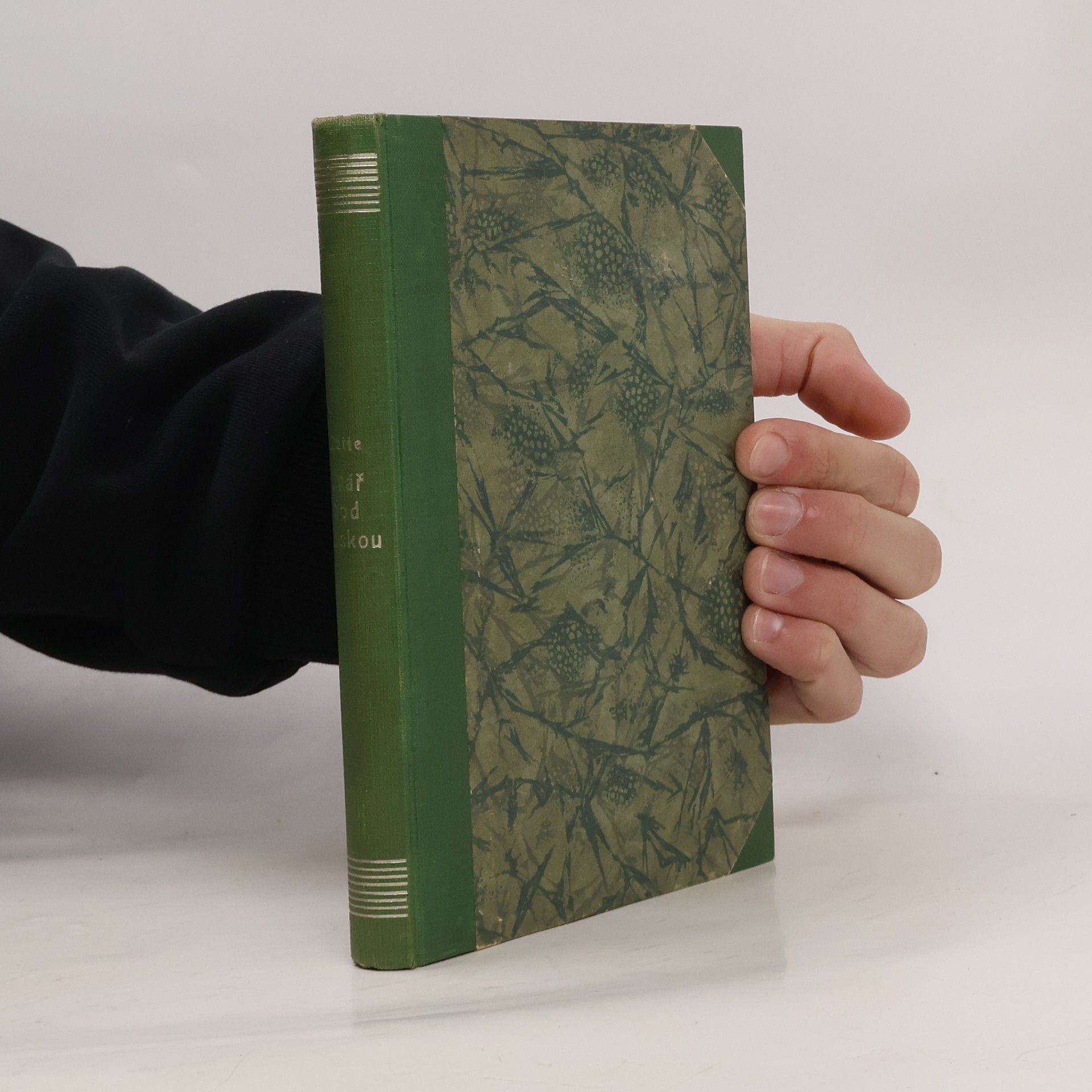 Miroslav Rutte Tvář pod maskou