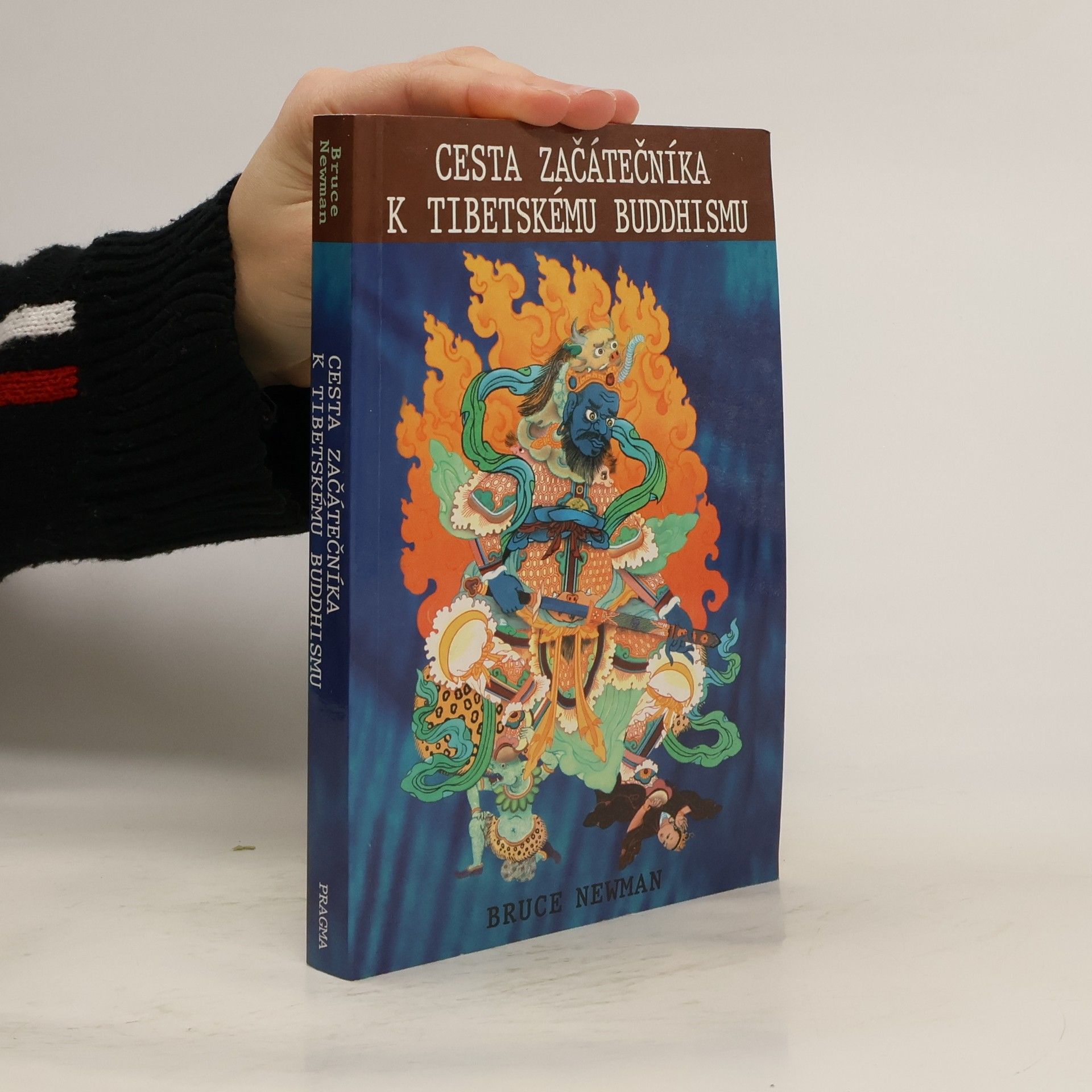 Josef Pecinovský Cesta začátečníka k tibetskému buddhismu. Zápisky z duchovní cesty