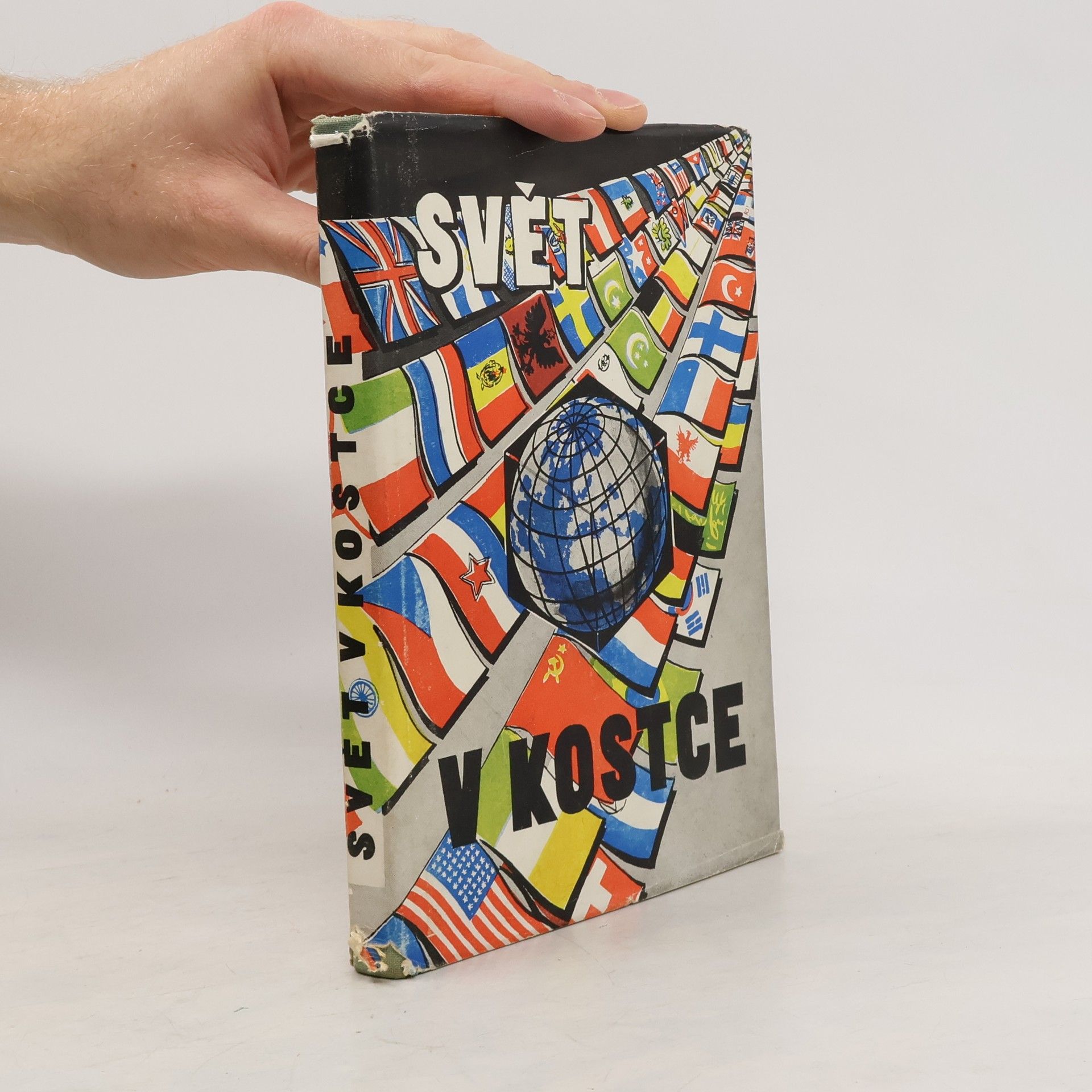 Zdeněk Veselý Svět v kostce