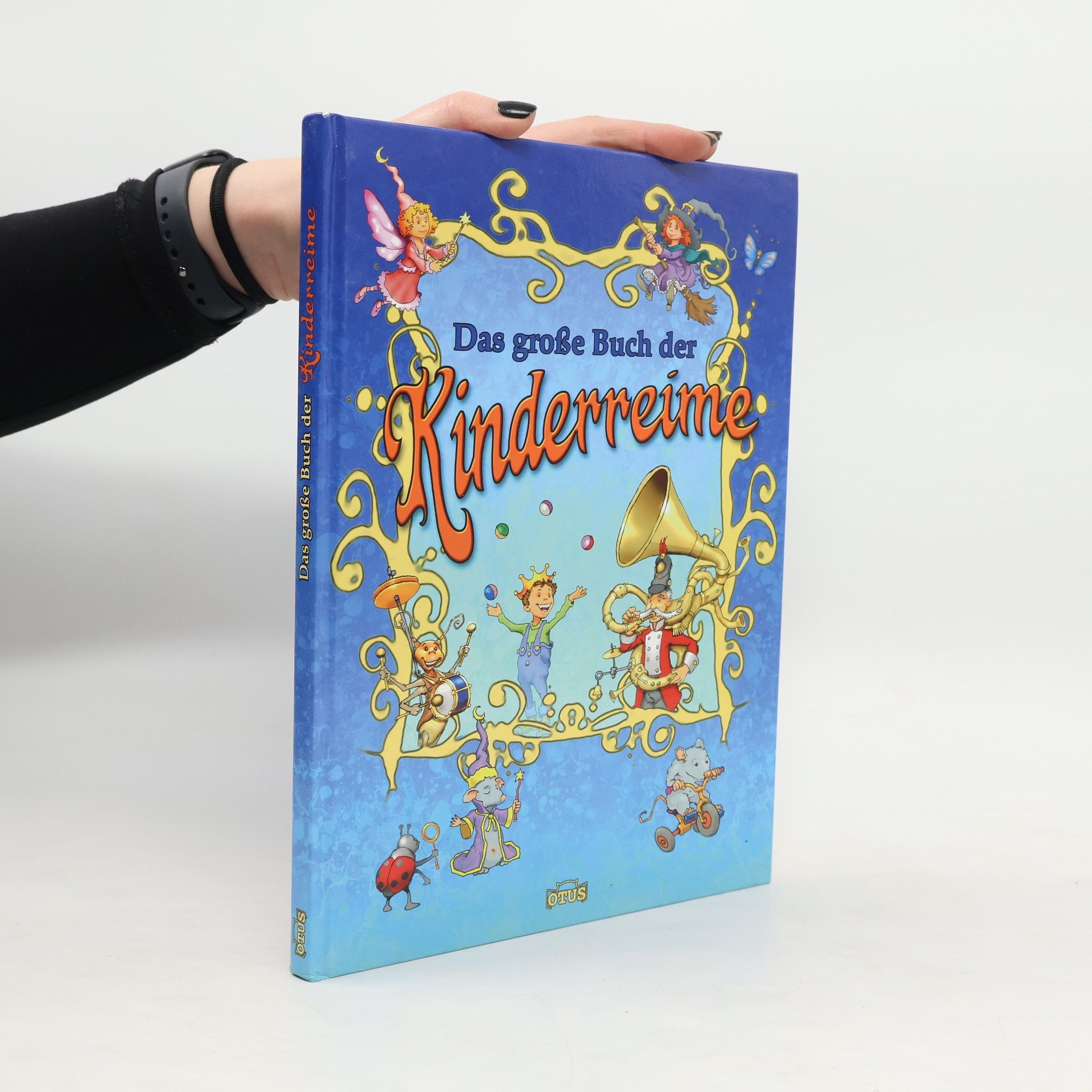 Kolektív autorov Das grosse Buch der Kinderreime