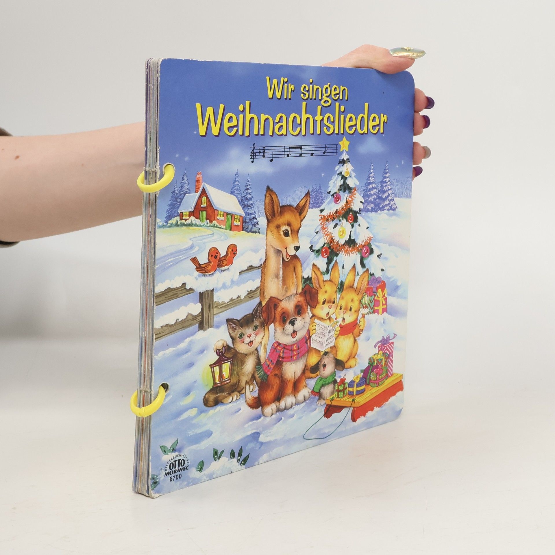 Kolektív autorov Wir singen Weihnachtslieder