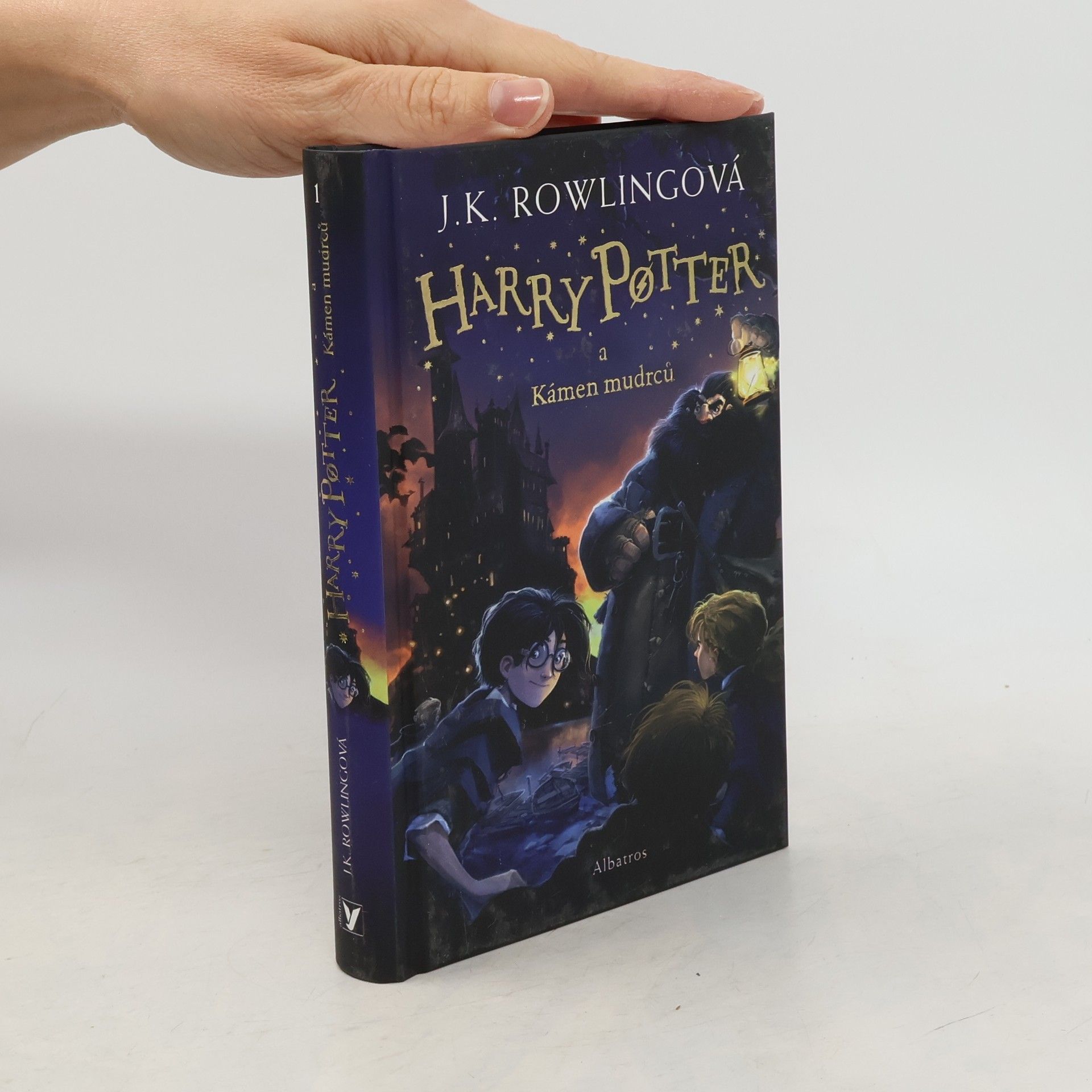Harry Potter a kámen mudrců