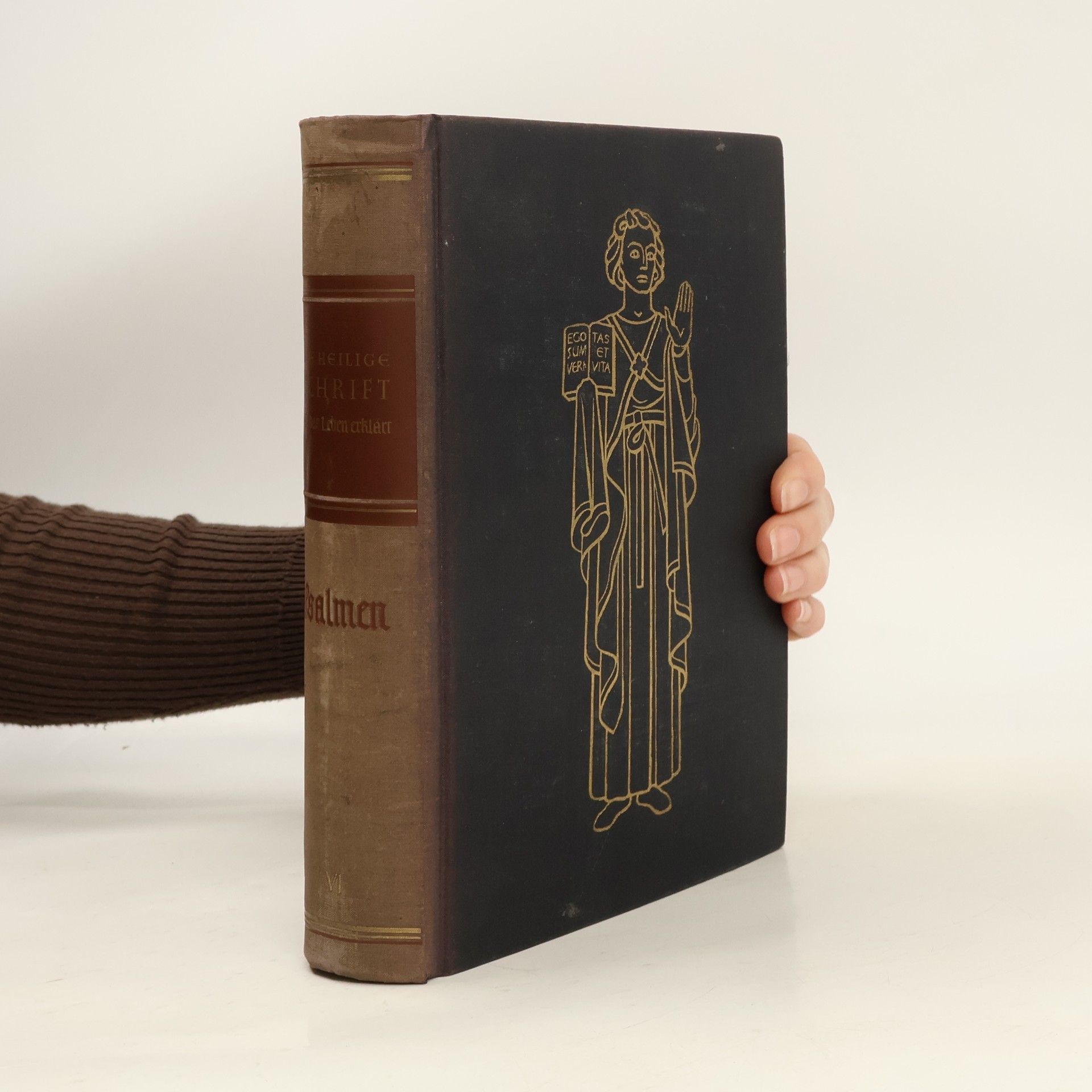 AA.VV. Die Heilige Schrift. Band VI