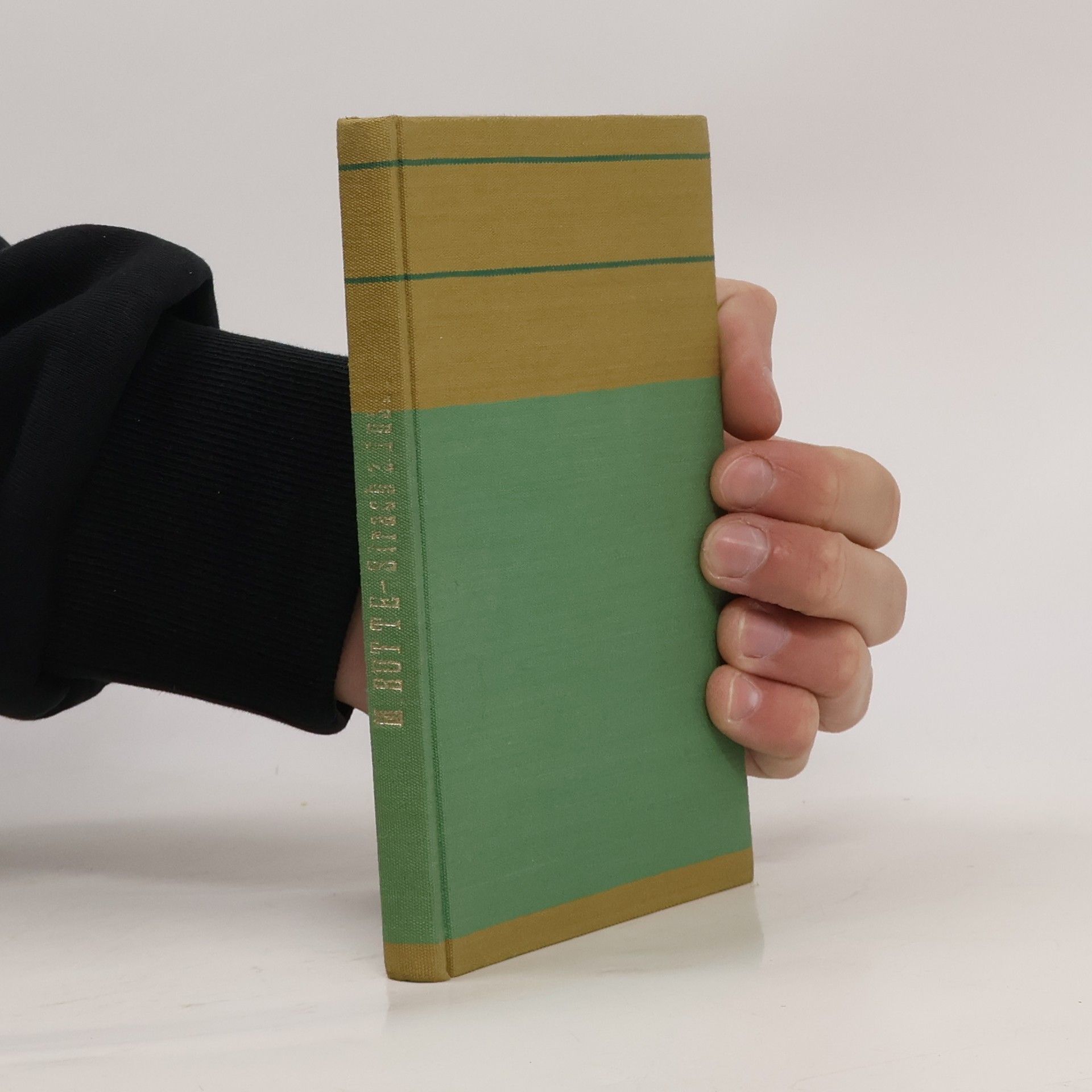 Miroslav Rutte Strach z duše