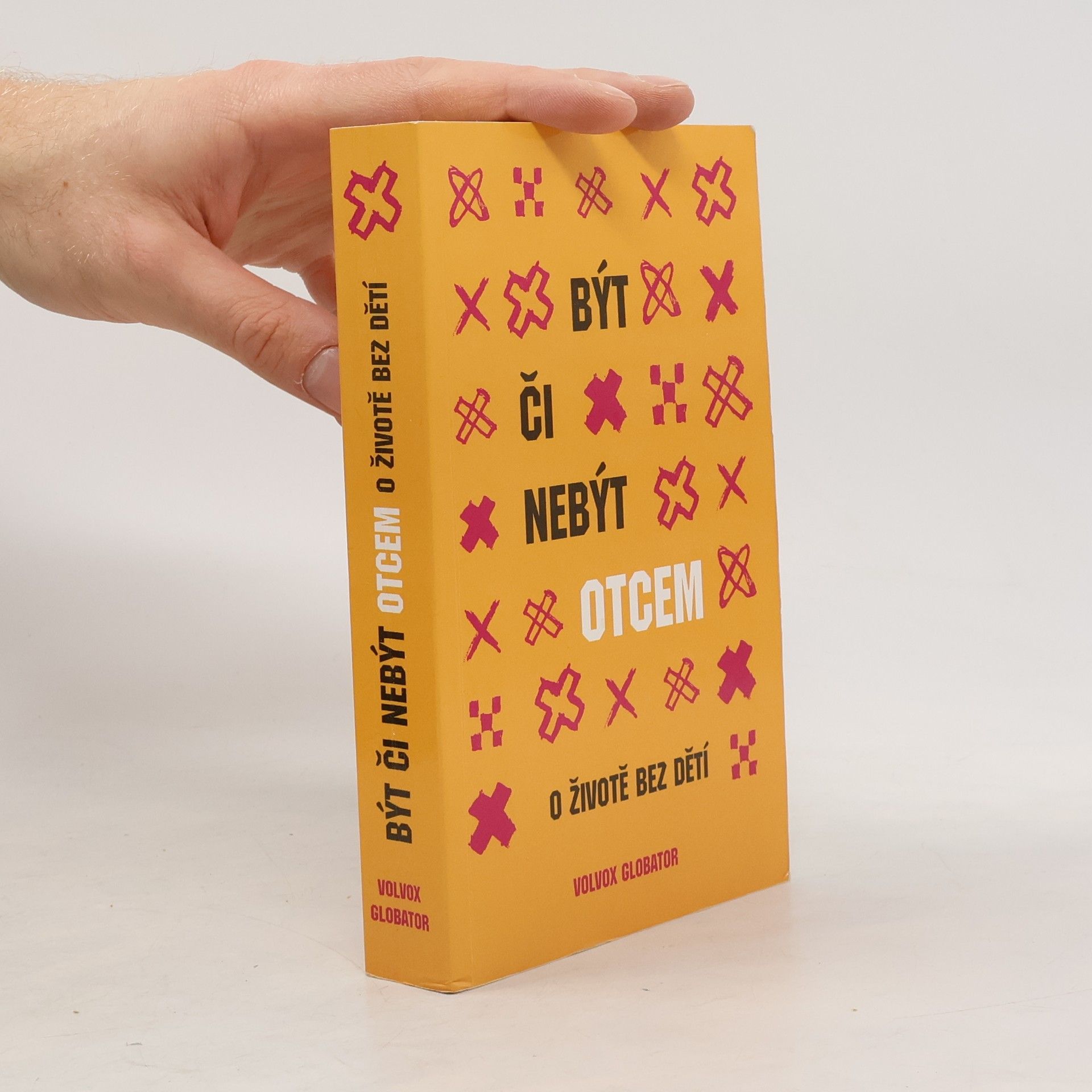 Kolektiv autorů Být či nebýt otcem: O životě bez dětí