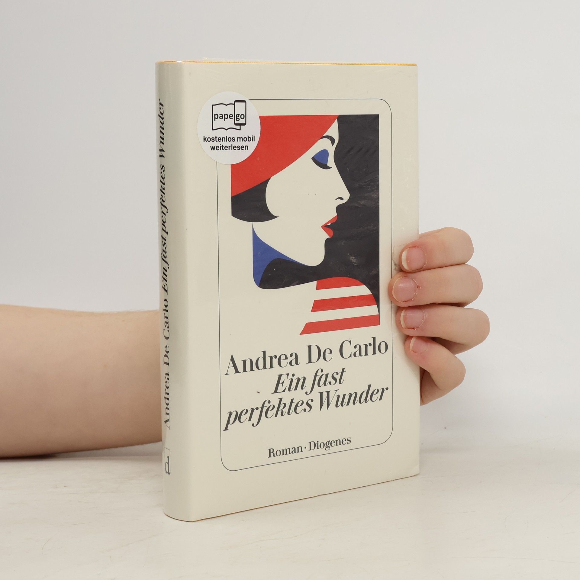 Andrea De Carlo Ein fast perfektes Wunder