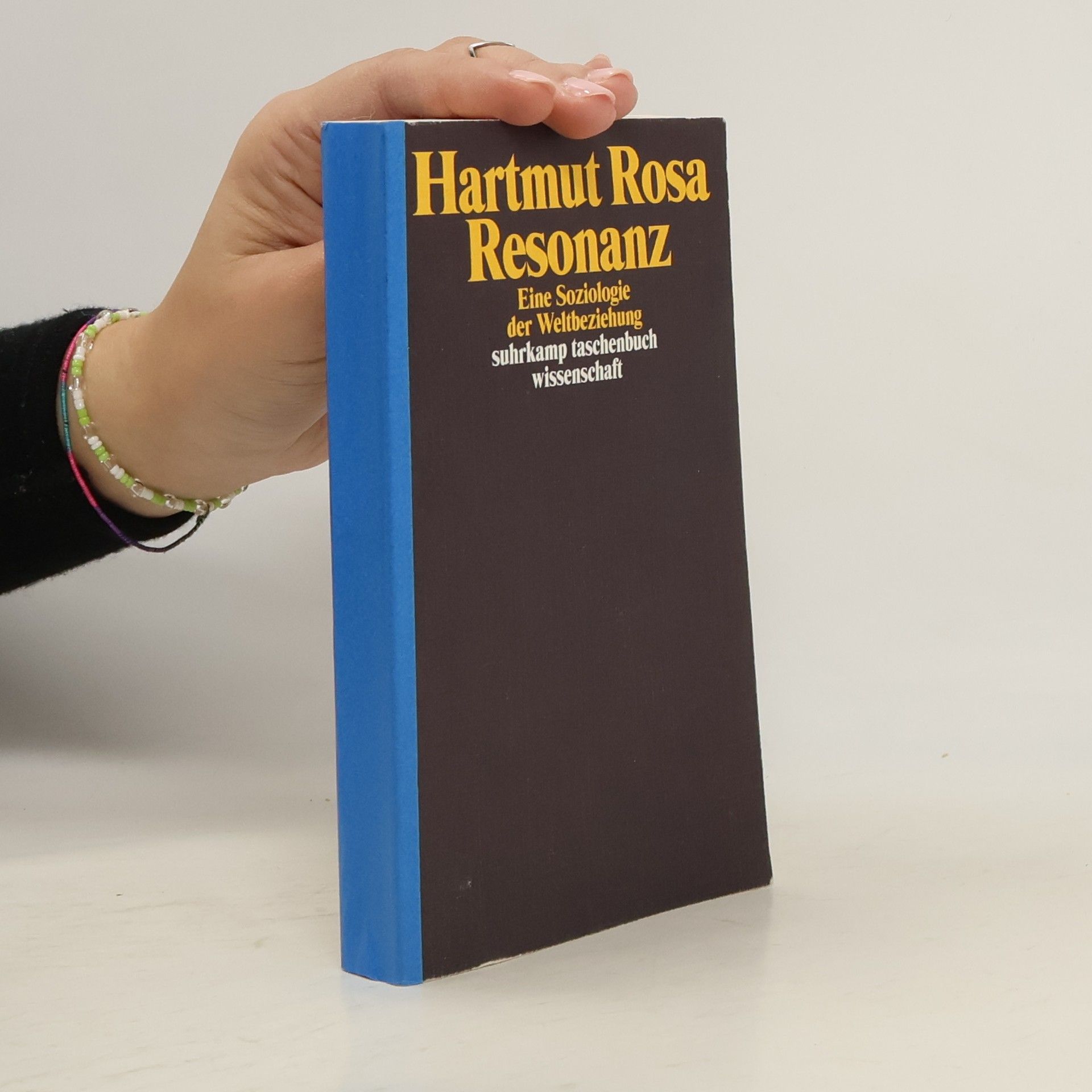 Hartmut Rosa Resonanz