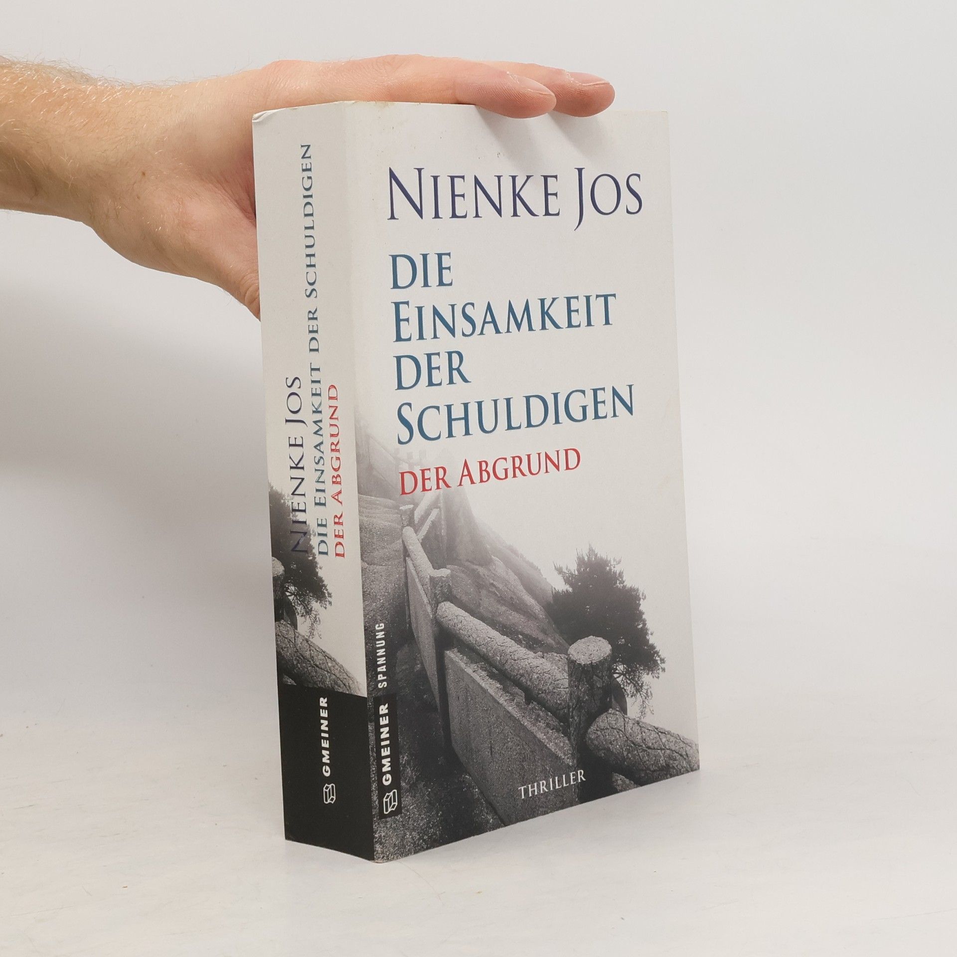 Nienke Jos Der Abgrund