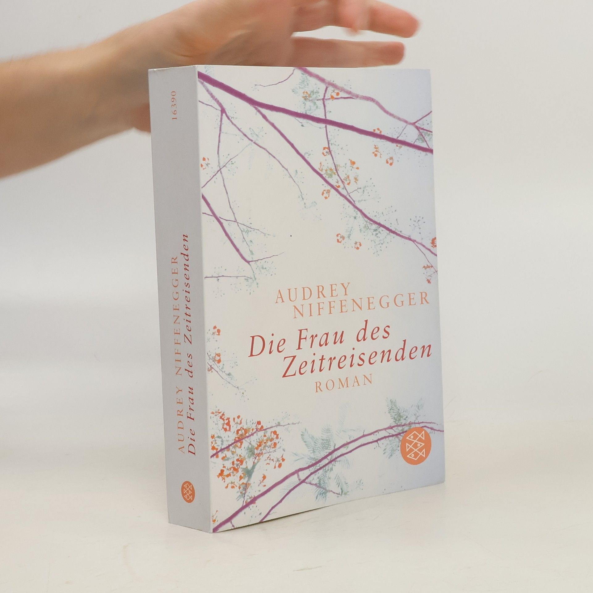 Audrey Niffenegger Die Frau des Zeitreisenden