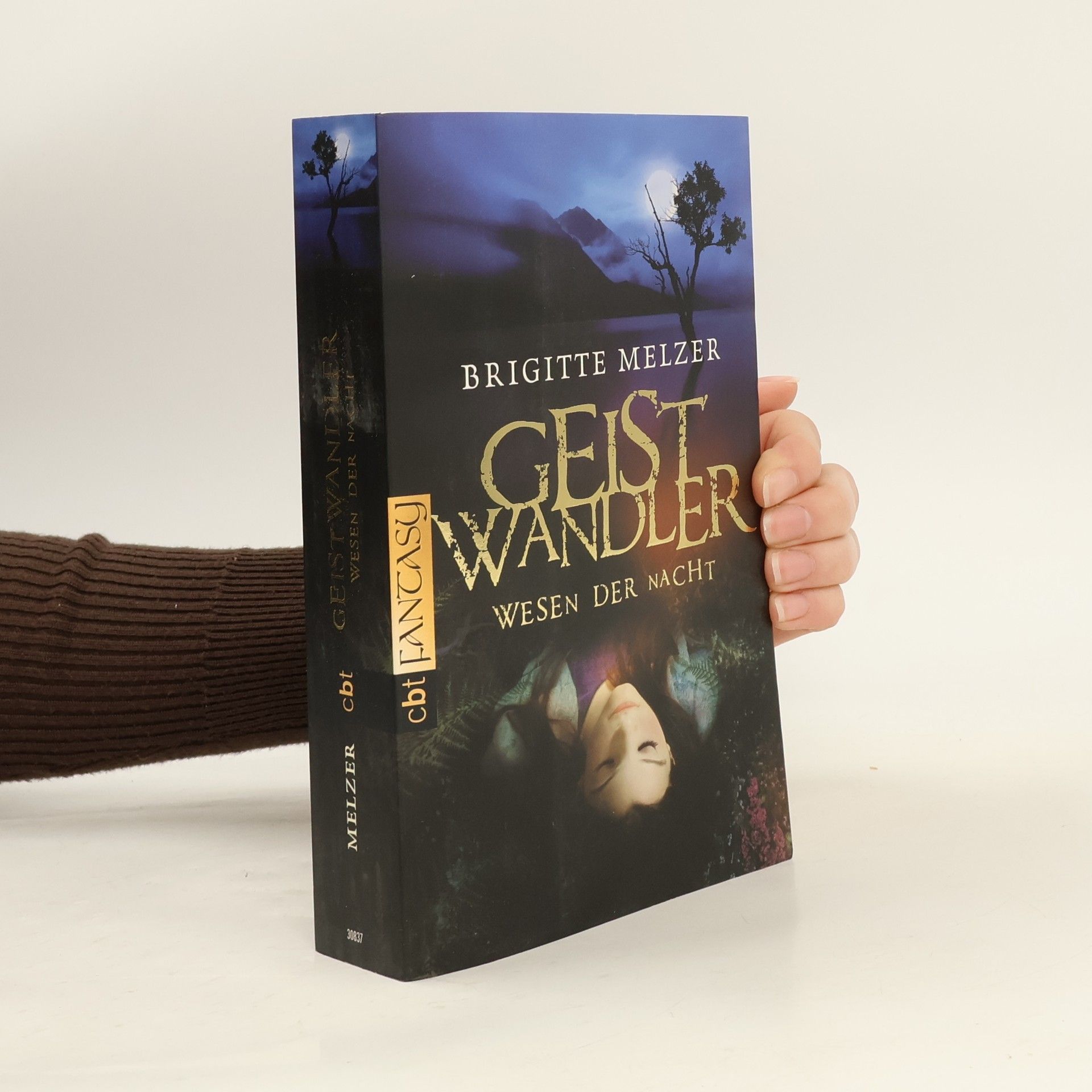 Brigitte Melzer Wesen der Nacht - Geistwandler