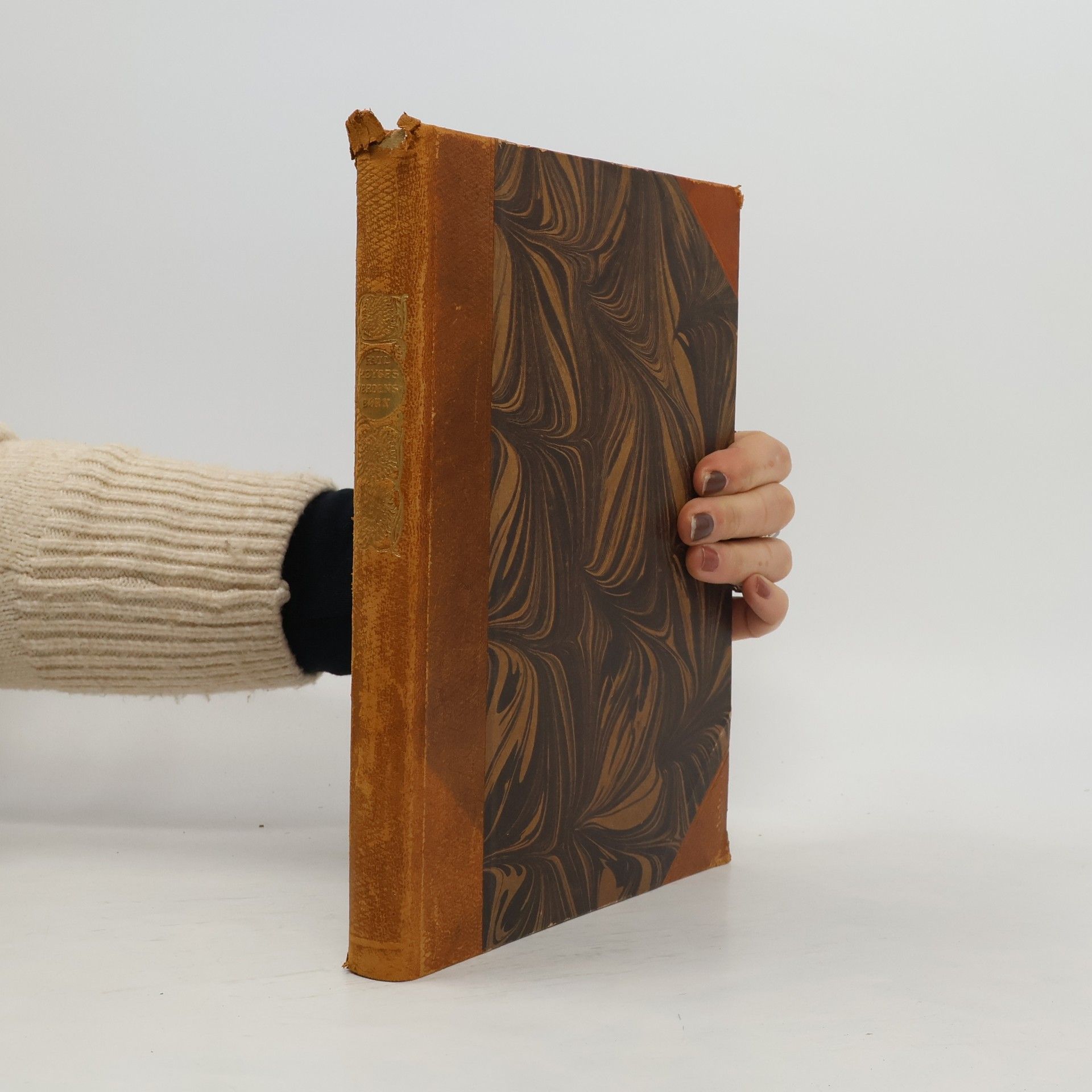 Paul Heyse Verdensbørn