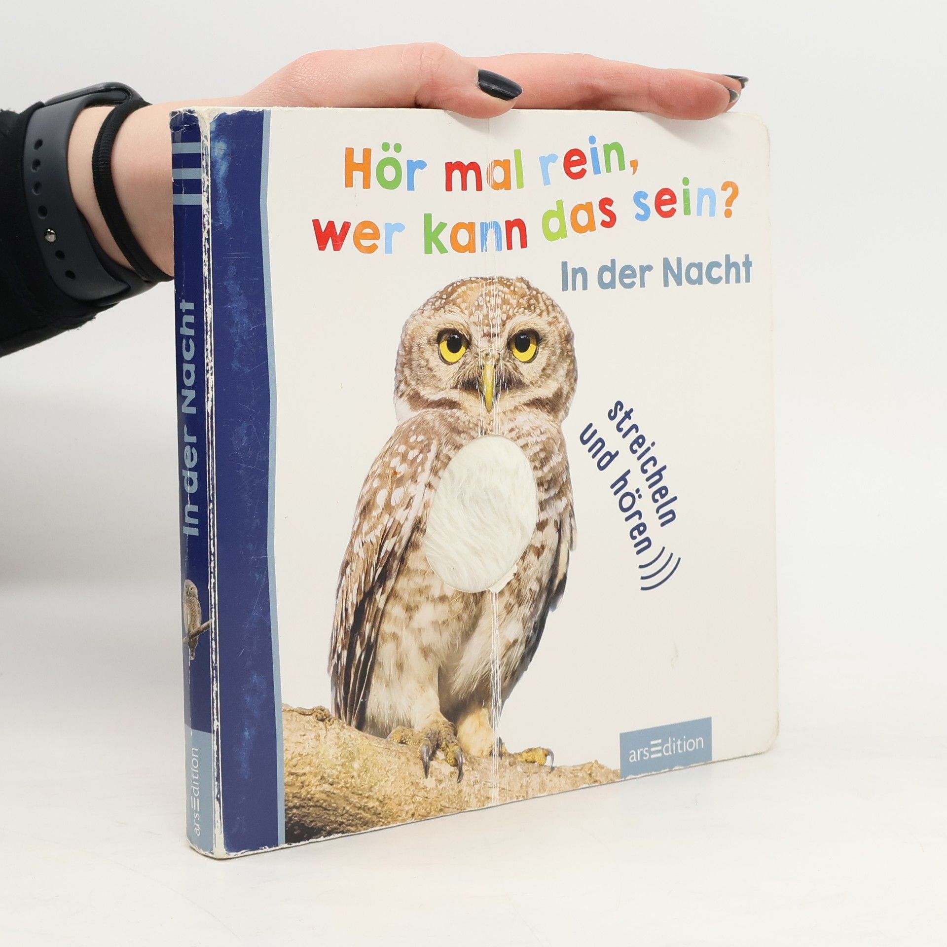 AA.VV. Hör mal rein, wer kann das sein? - In der Nacht