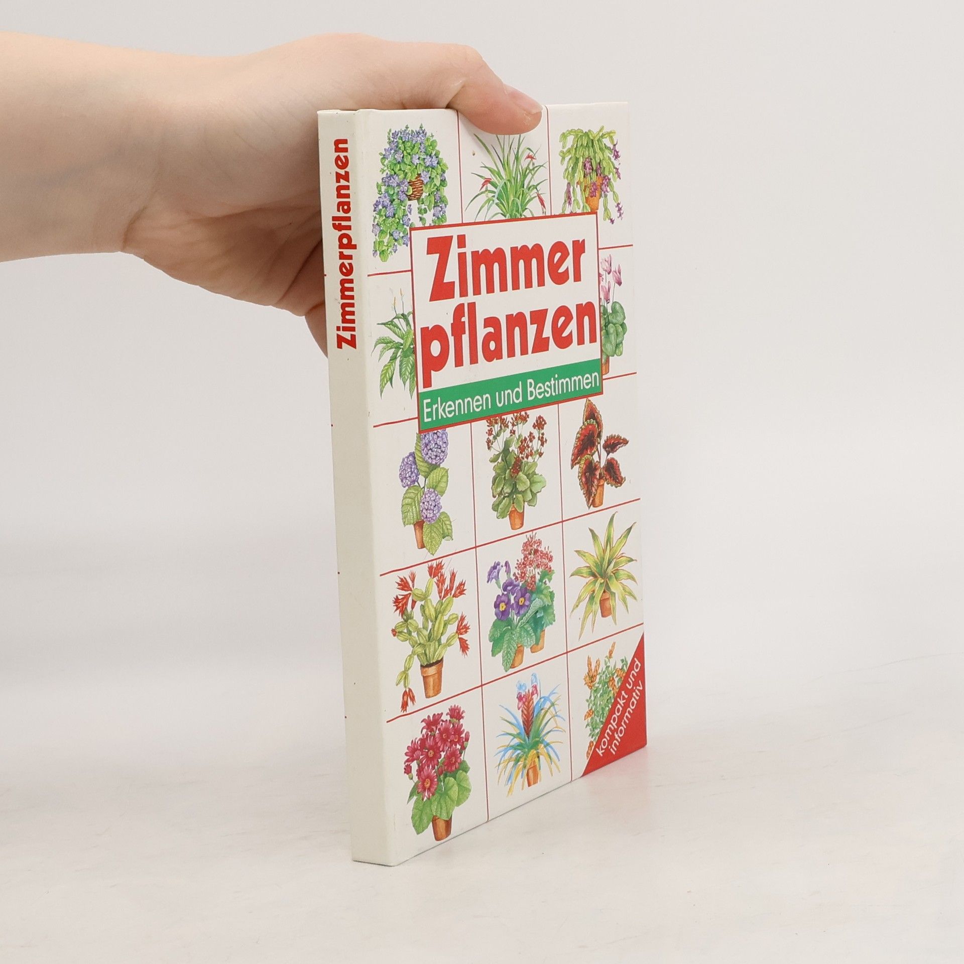 Zimmerpflanzen, Erkennen und Bestimmen