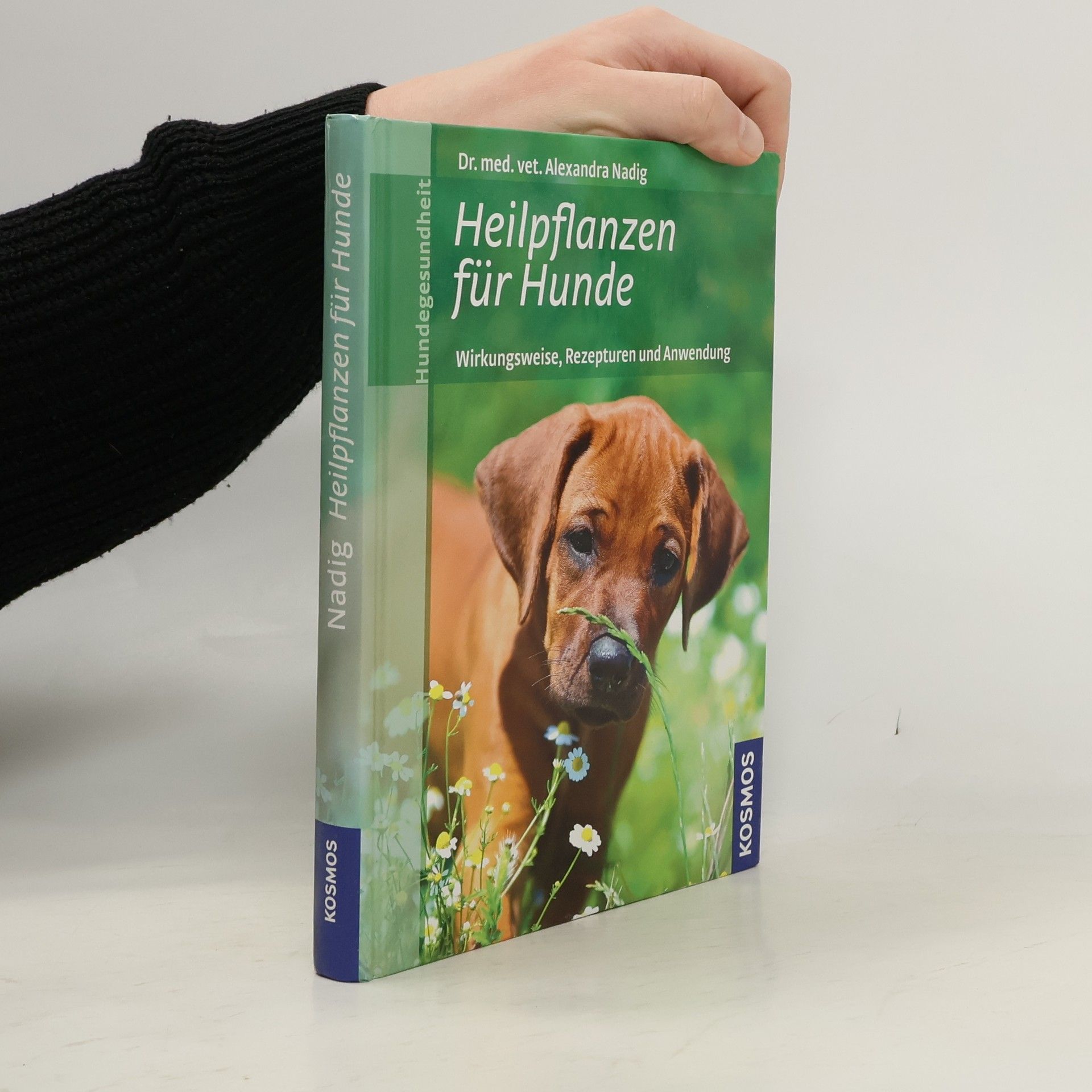 Heilpflanzen für Hunde