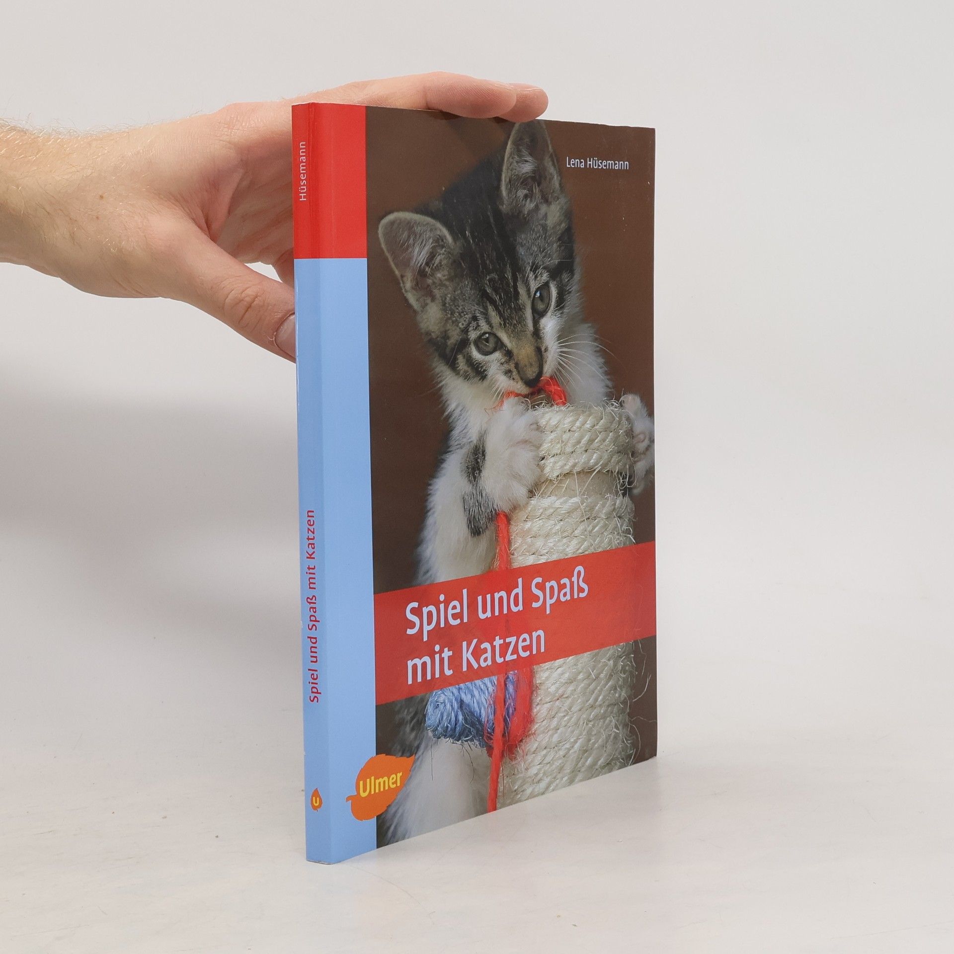 Lena Hüsemann Spiel und Spaß mit Katzen