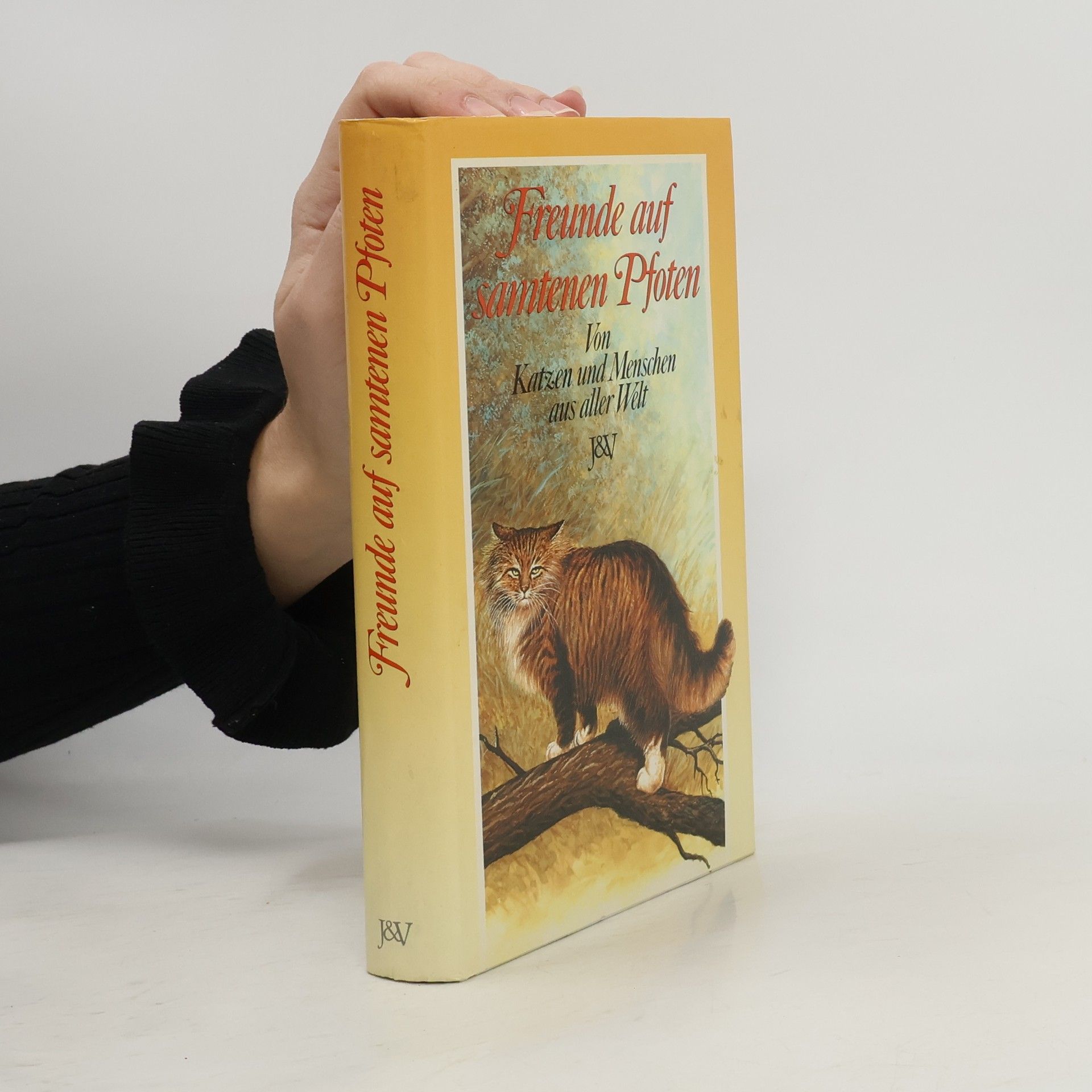 Sylvia Kainz Freunde auf samtenen Pfoten. Von Katzen und Menschen aus aller Welt