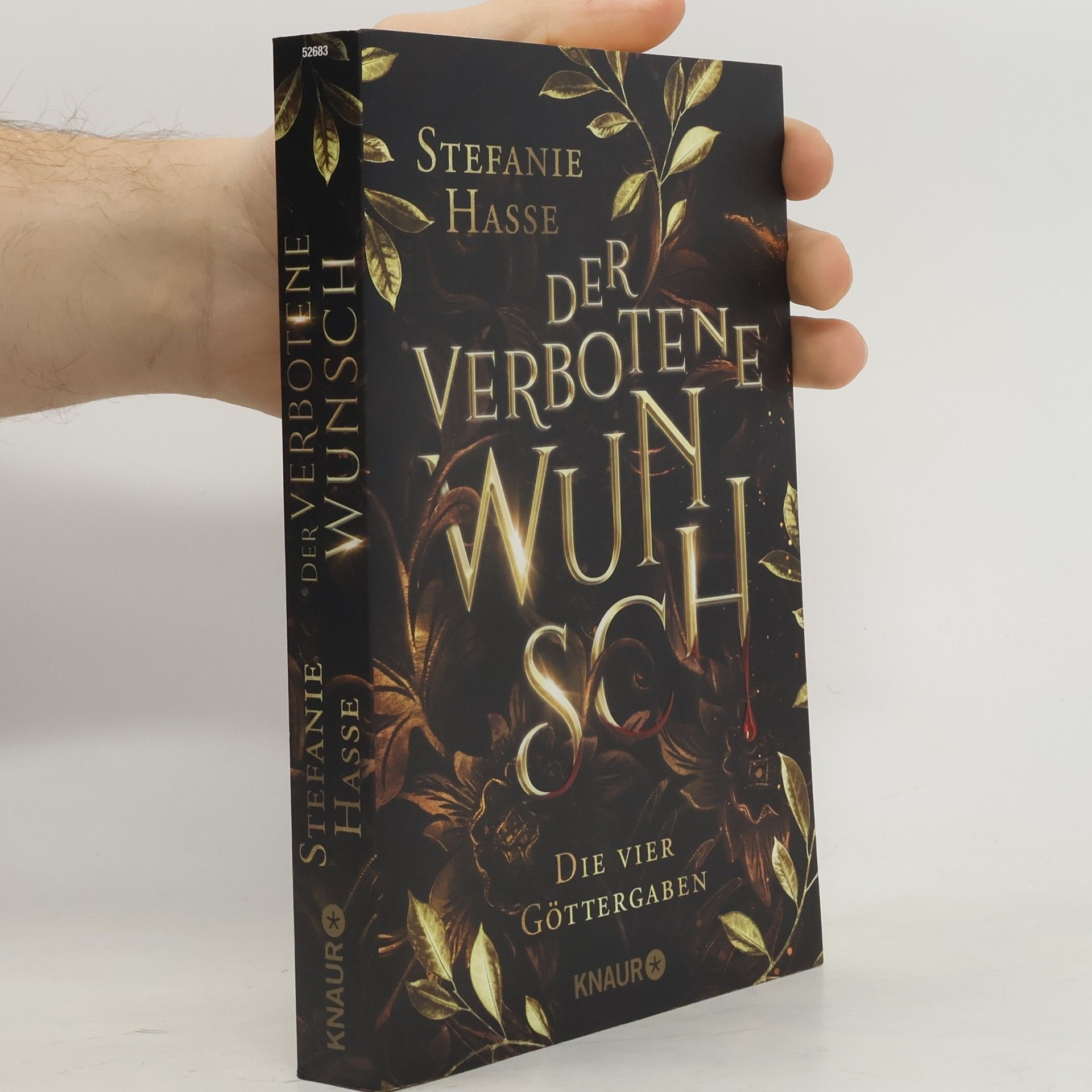 Stefanie Hasse Der verbotene Wunsch