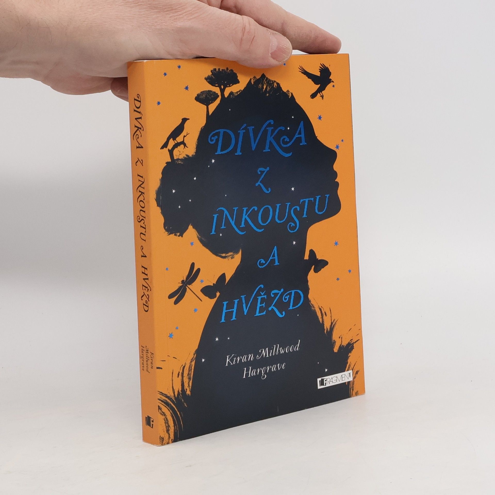 Dívka z inkoustu a hvězd