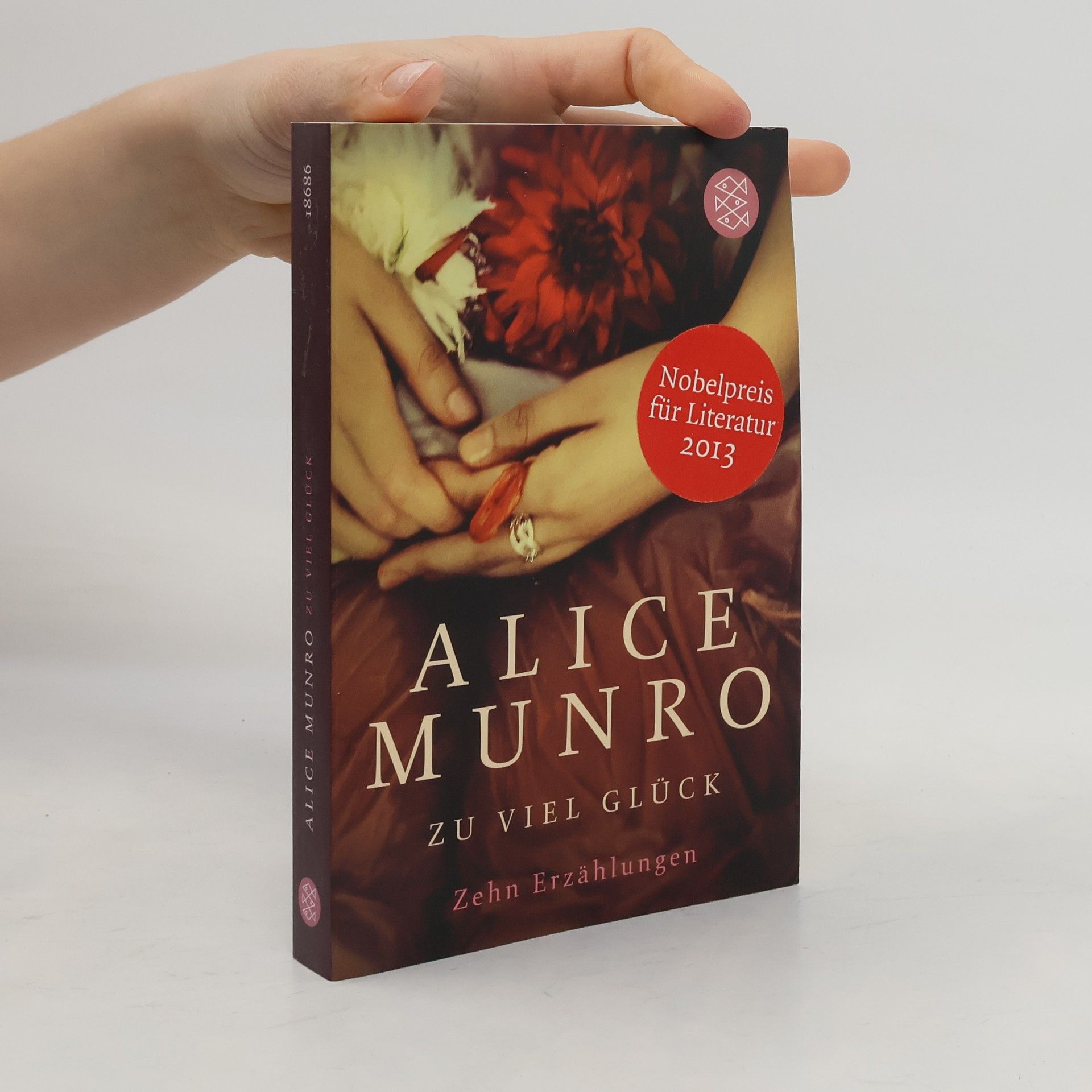 Alice Munro Zu viel Glück. zehn erzählungen