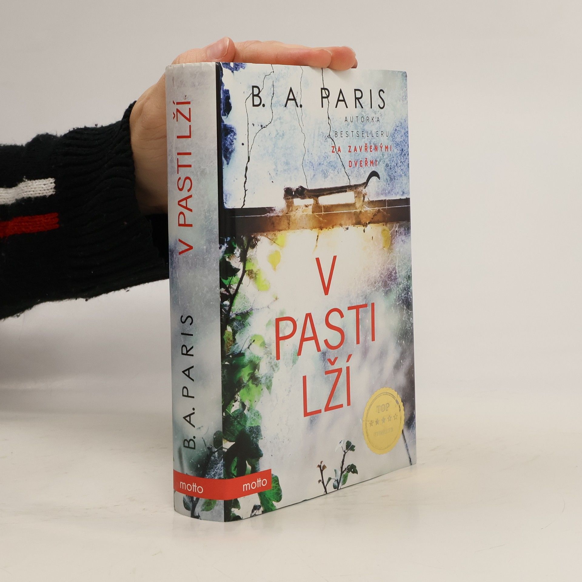 B. A. Paris V pasti lží