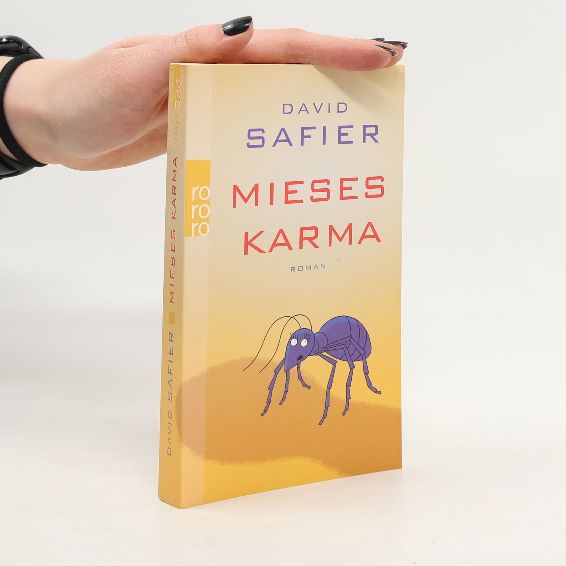 David Safier Mieses Karma