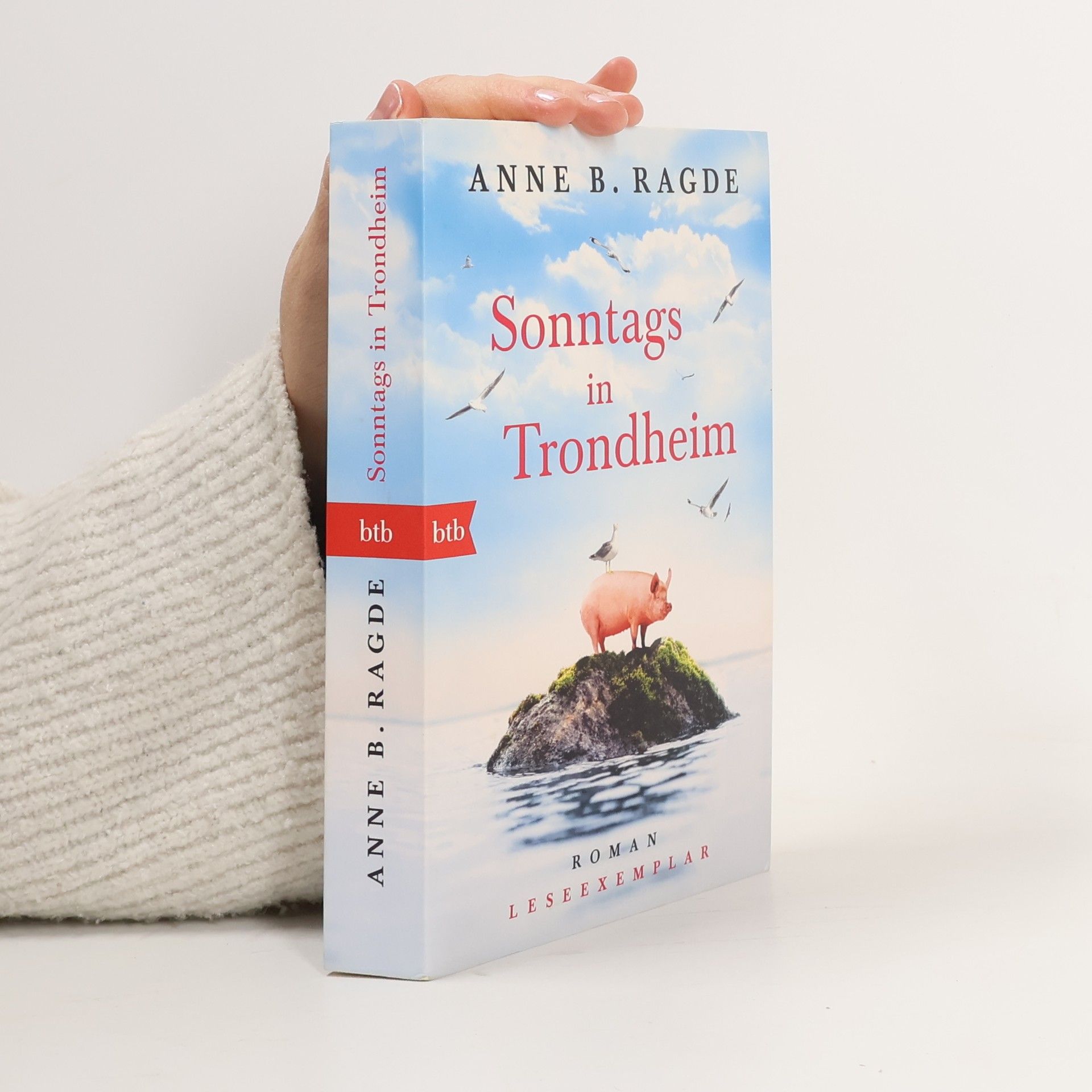 Sonntags in Trondheim