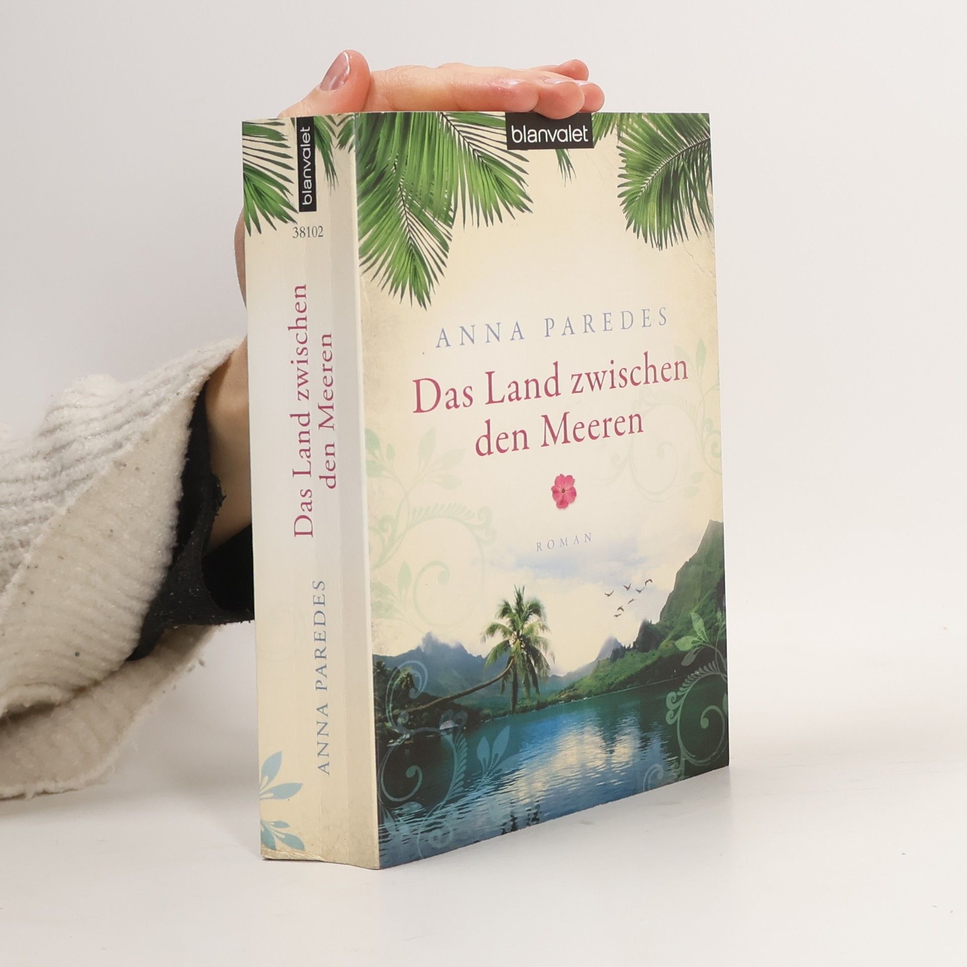 Anna Paredes Das Land zwischen den Meeren