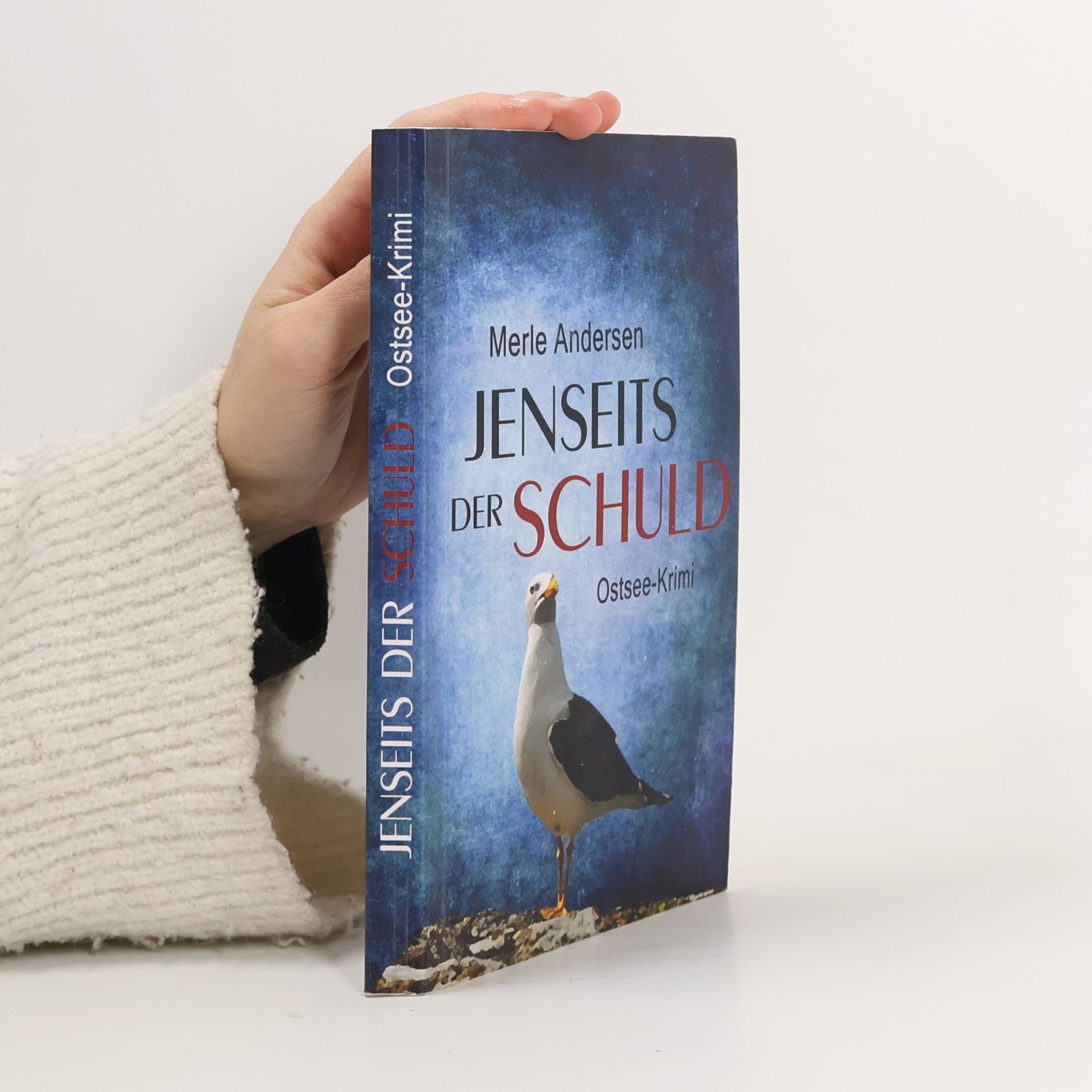 Merle Andersen Jenseits der Schuld: Ostsee-Krimi