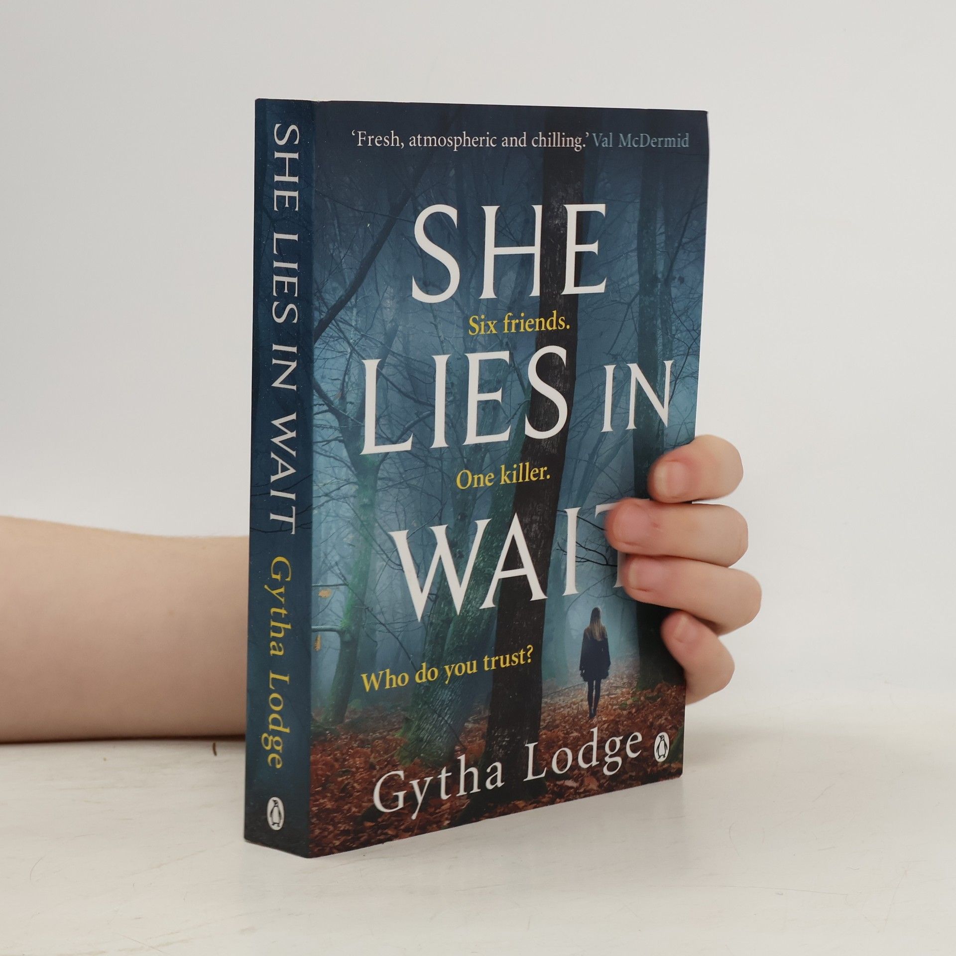 Gytha Lodge She Lies in Wait : Six friends. One killer. Who do you trust?