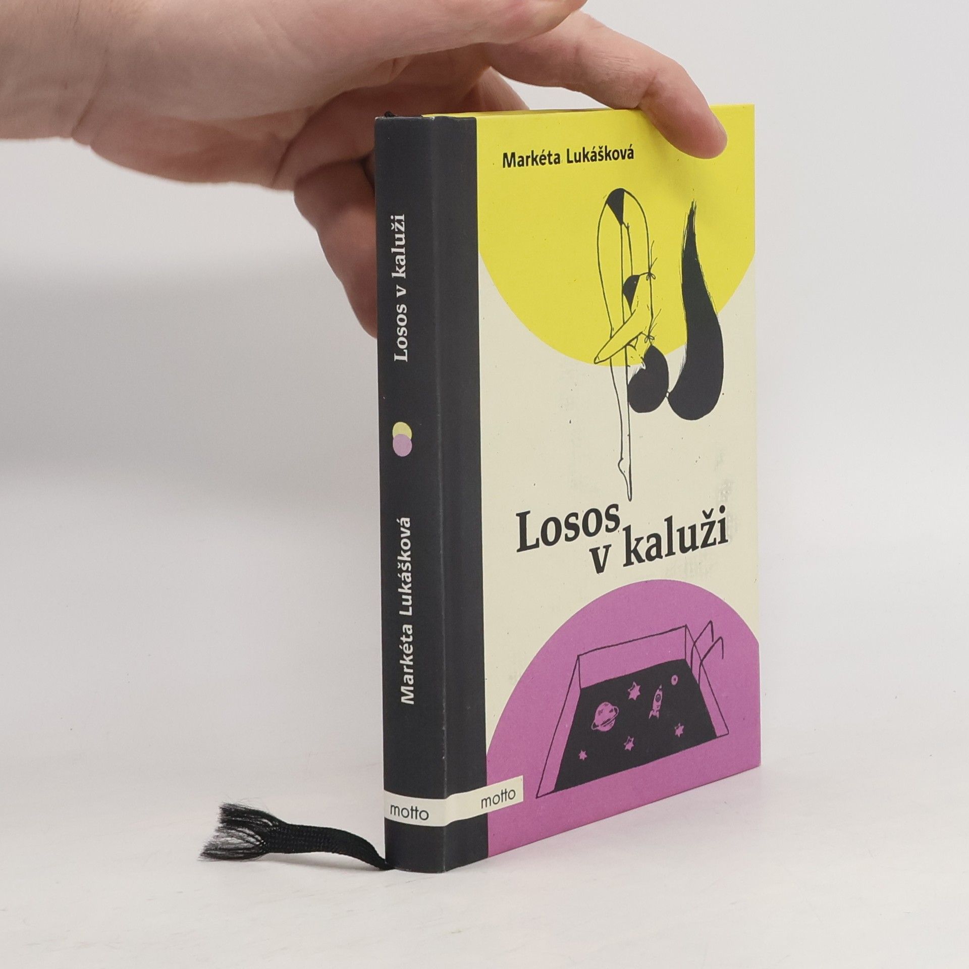 Markéta Lukášková Losos v kaluži