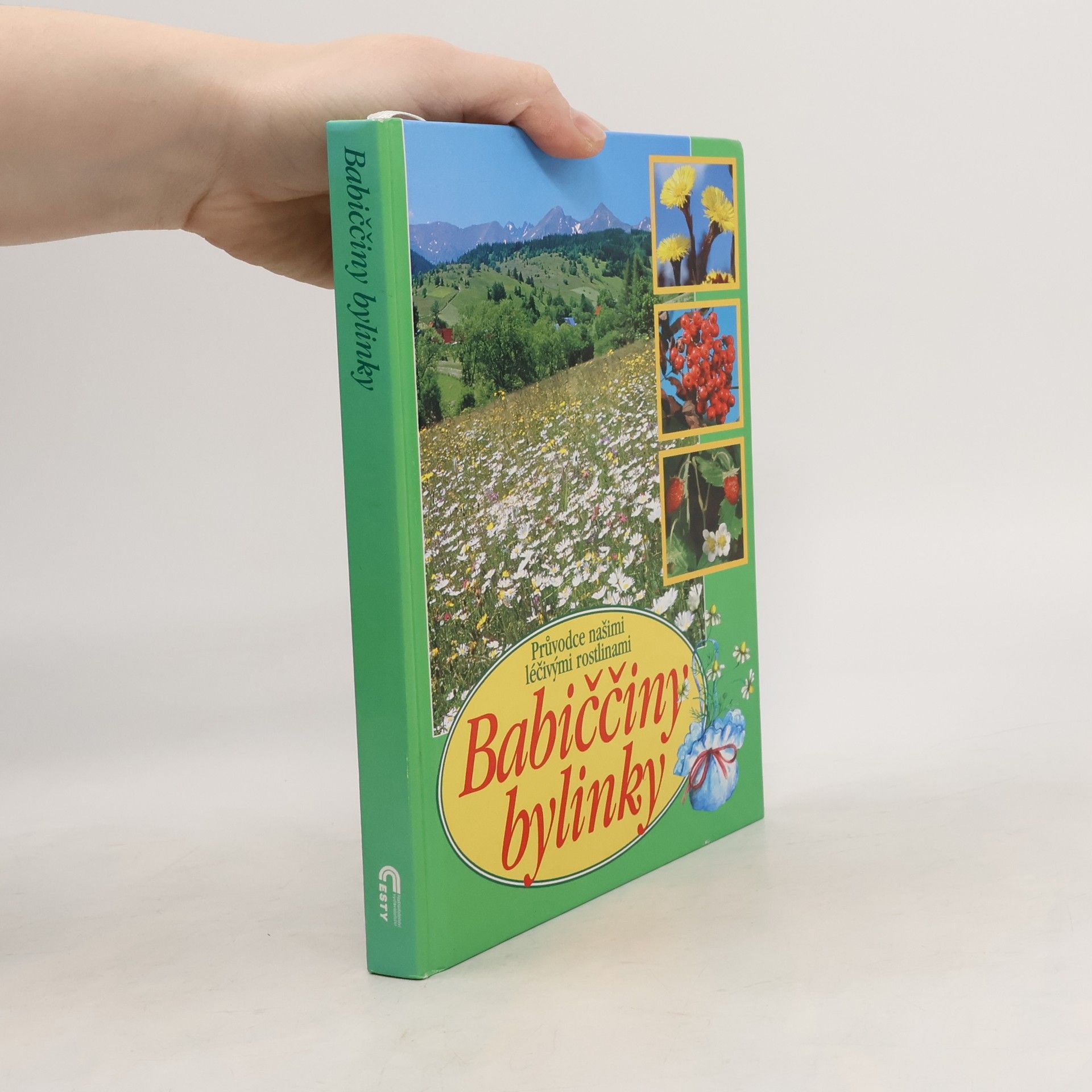 Babiččiny bylinky: Průvodce našimi léčivými rostlinami