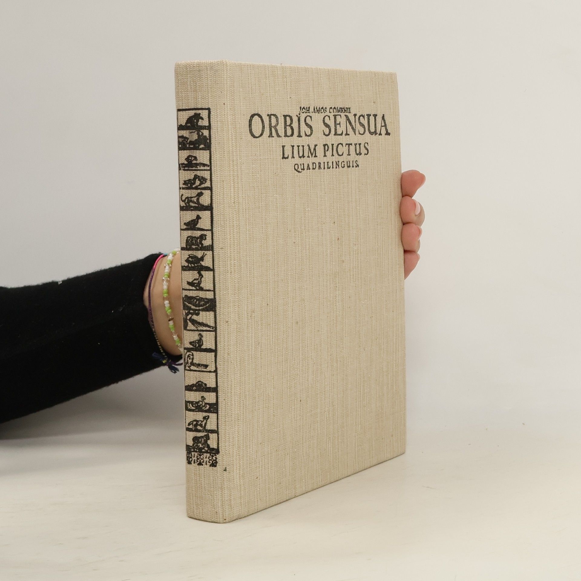 Jan Amos Komenský Orbis pictus (Přetisk vydání z roku 1685)