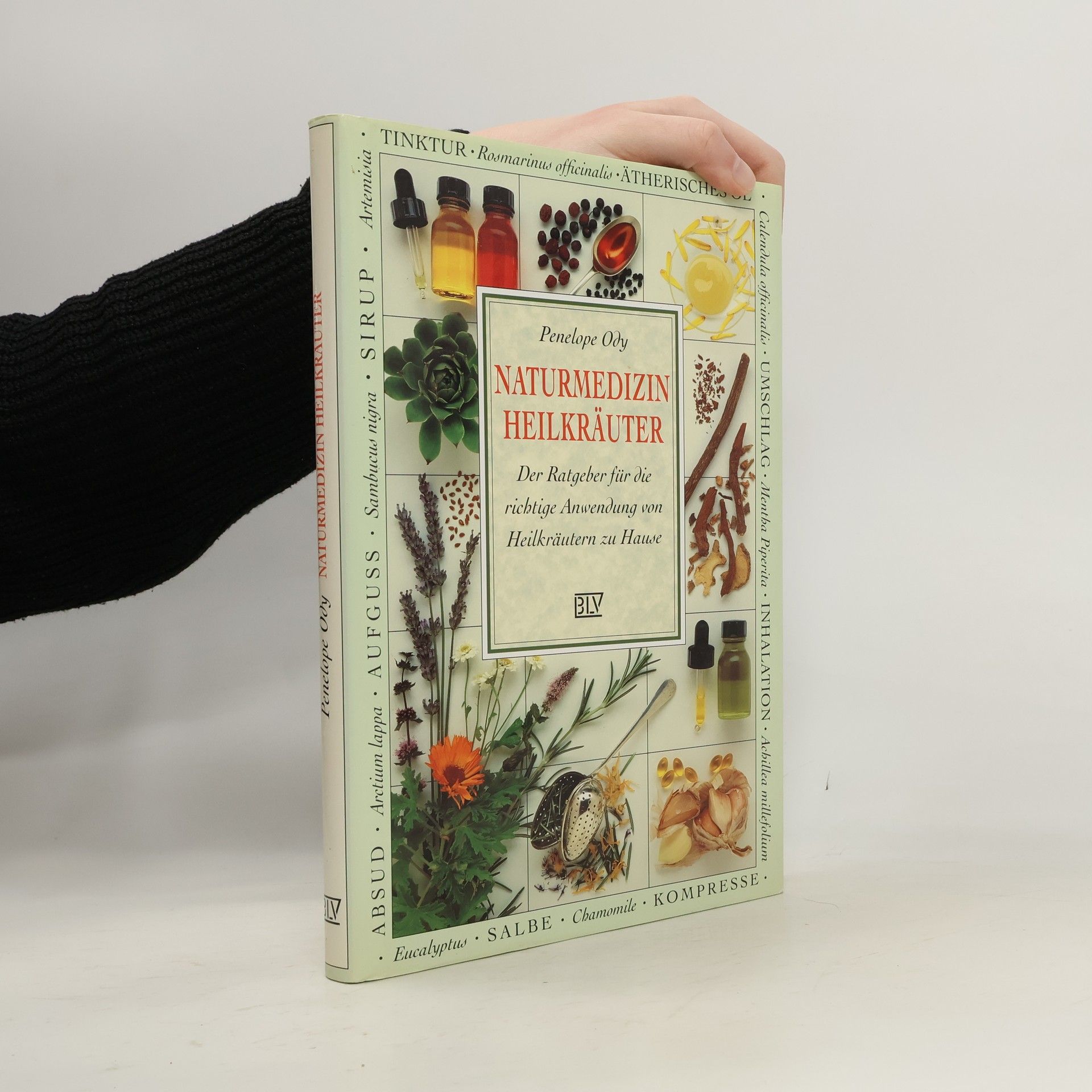 Naturmedizin Heilkräuter