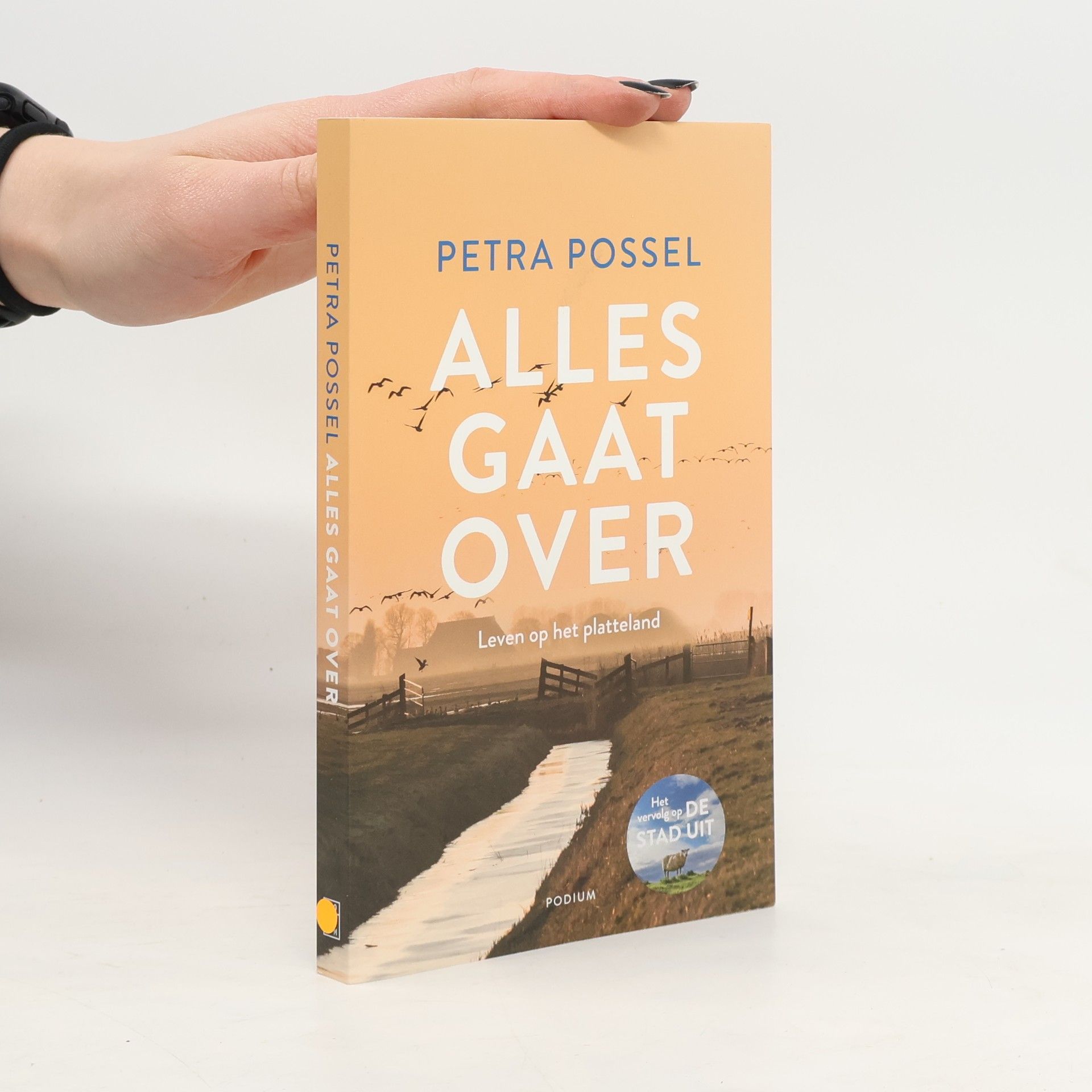 Petra Possel Alles gaat over