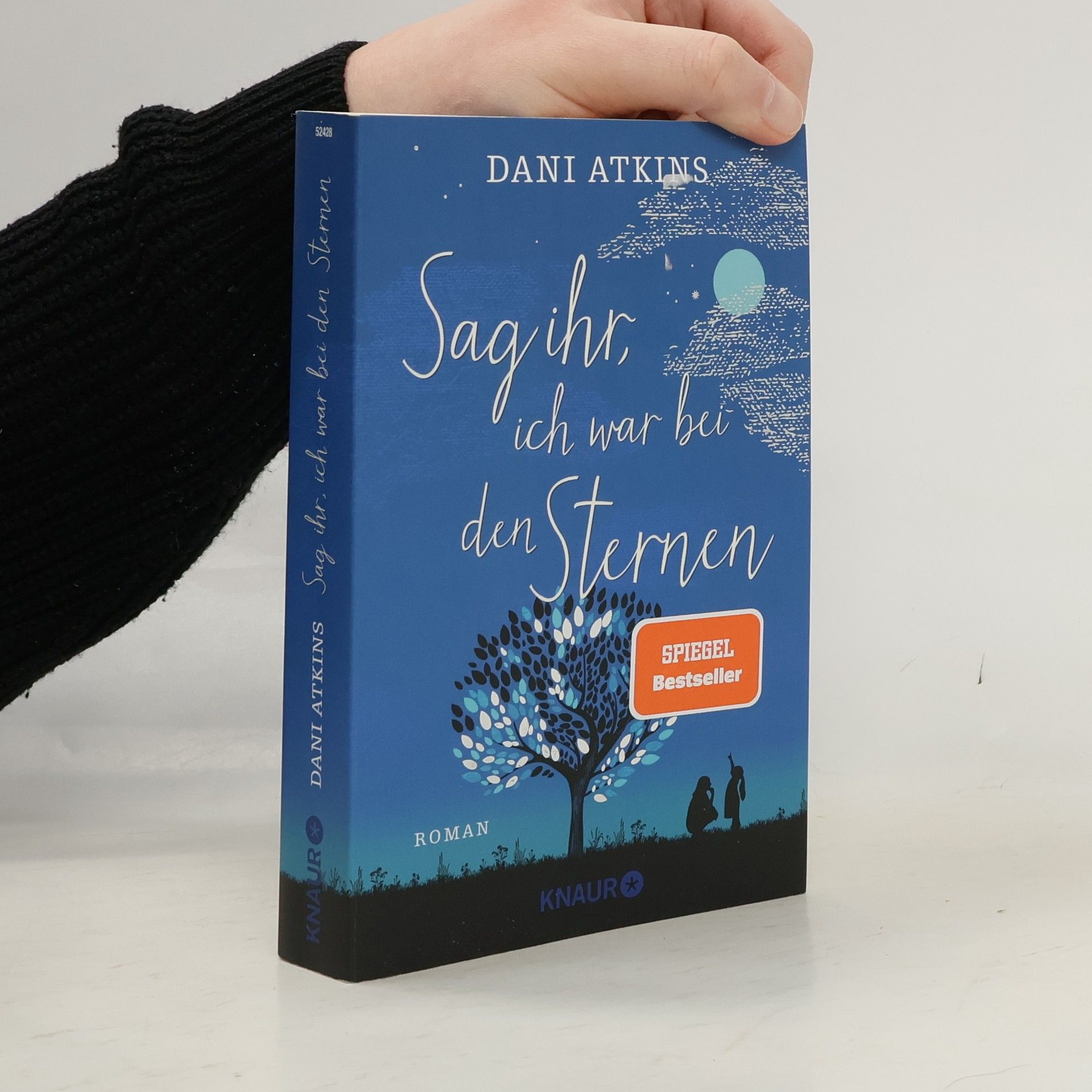 Dani Atkins Sag ihr, ich war bei den Sternen