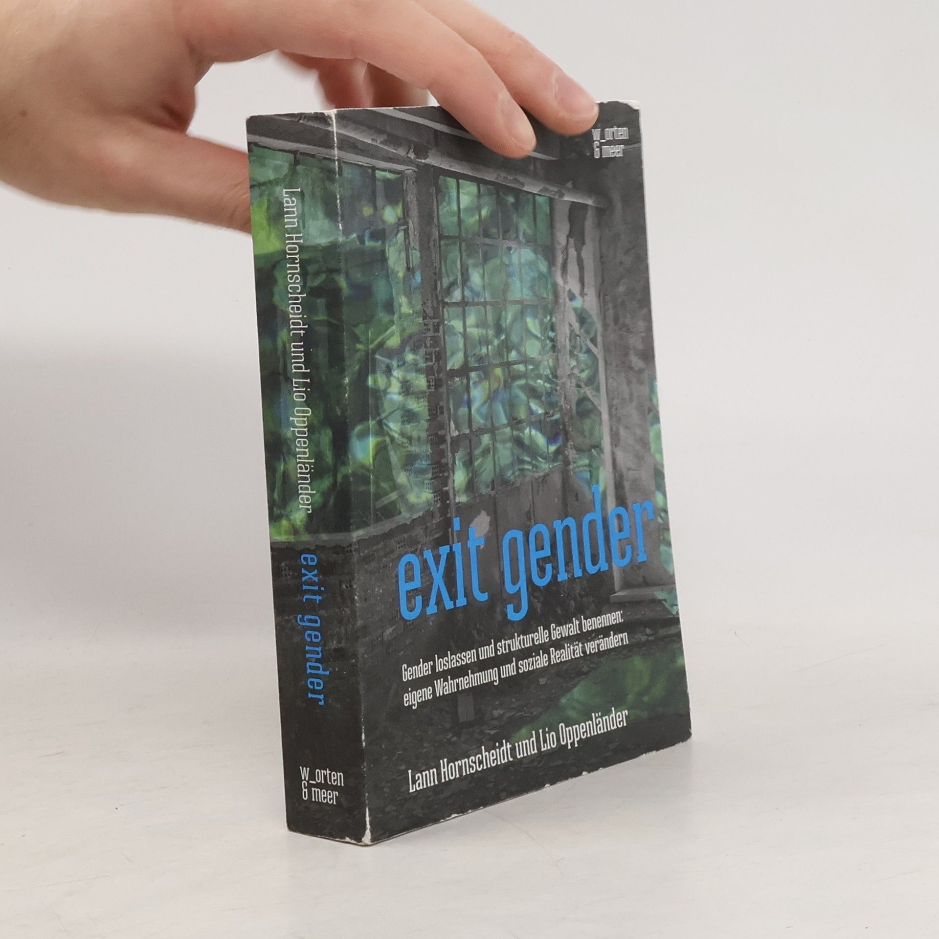 Lann Hornscheidt Exit Gender