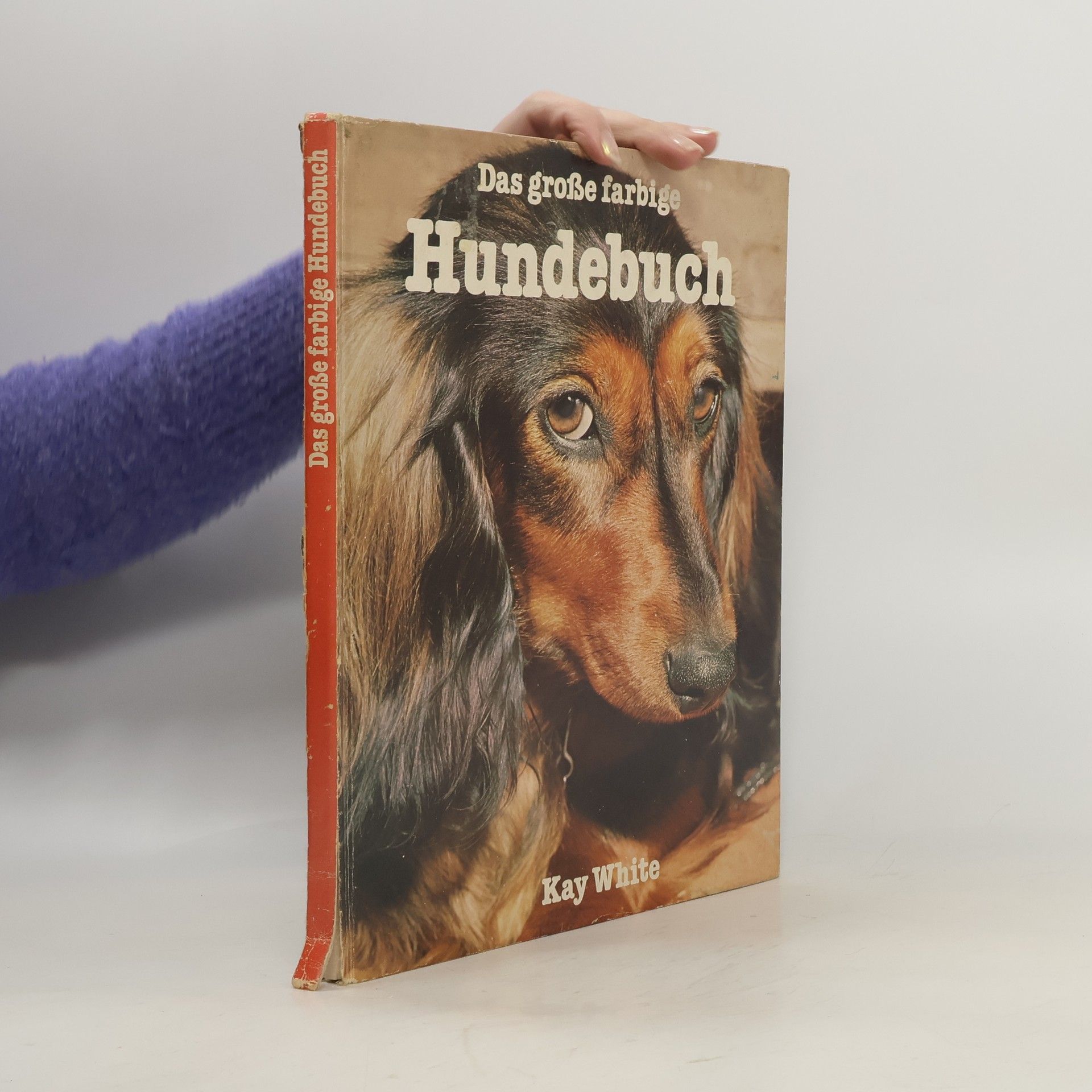 Das grosse farbige Hundebuch