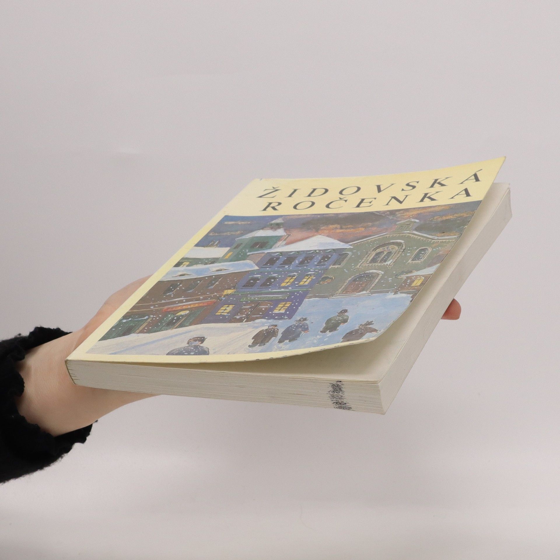 Autorenkollektiv Židovská ročenka 5753: 1992-1993