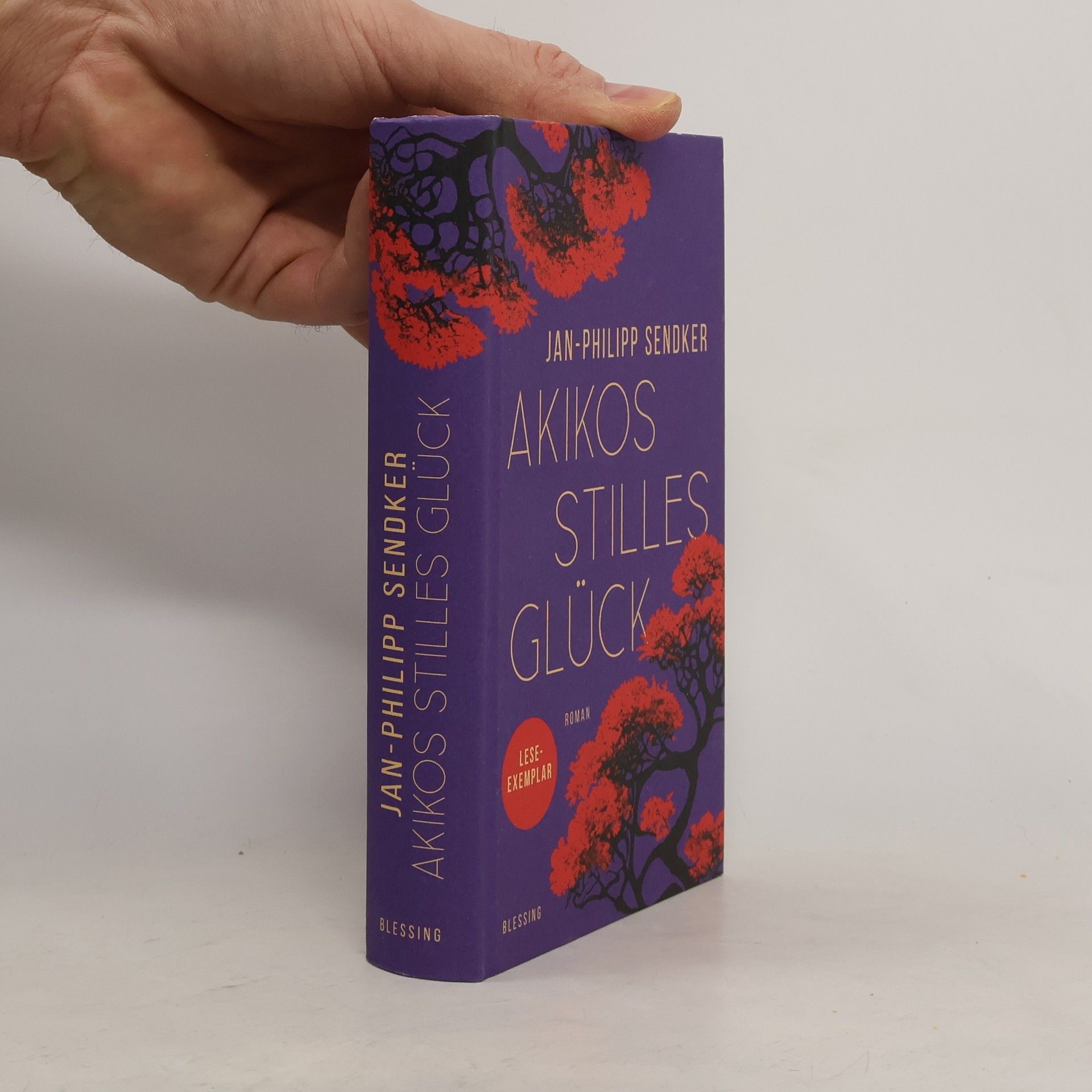 Jan-Philipp Sendker Akikos stilles Glück. Roman