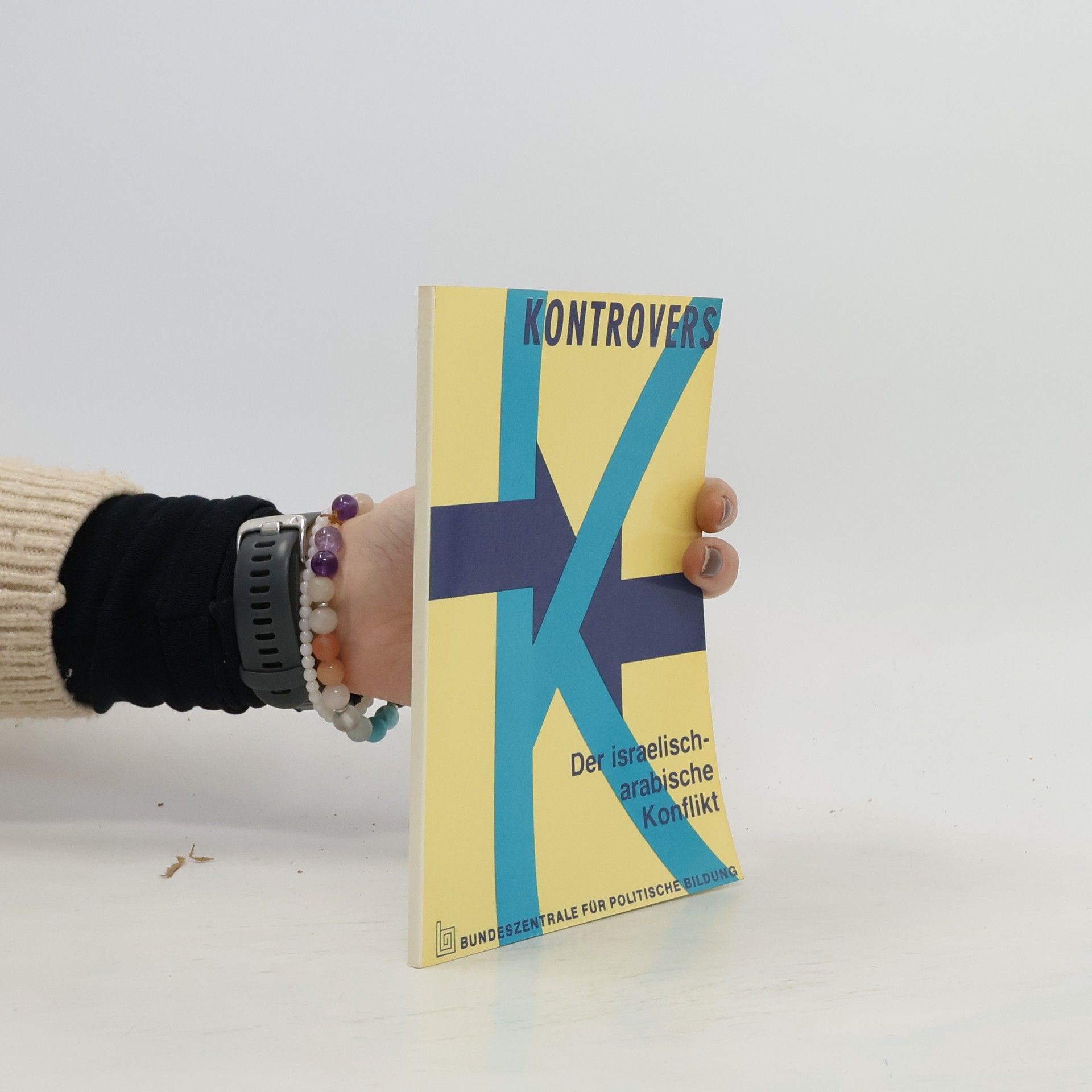 Hans Jendges Der israelisch-arabische Konflikt