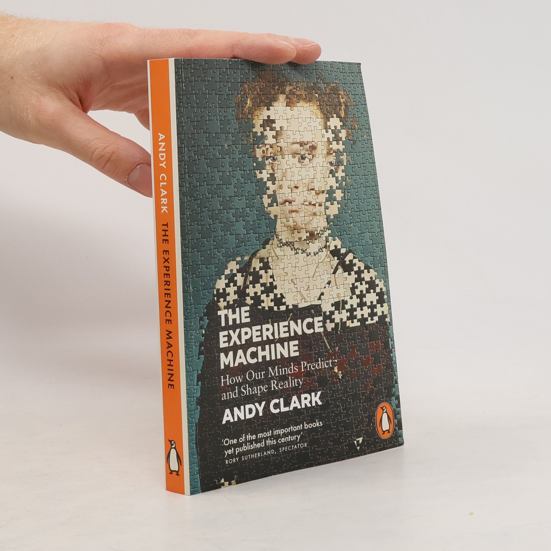 The Experience Machine