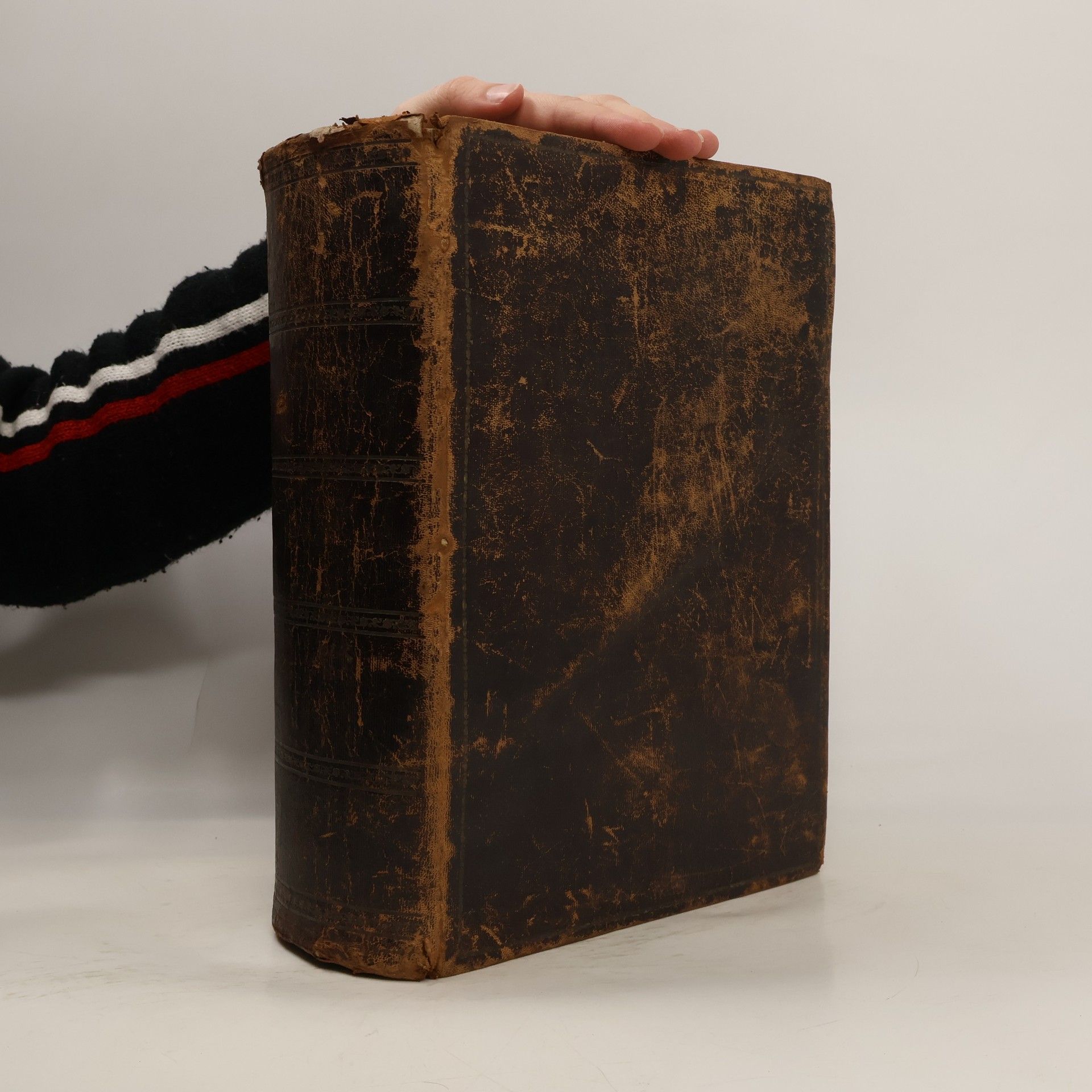 Innocenc Antonin Frencl Biblí Česká čili Písmo svaté starého i nového zákona 1