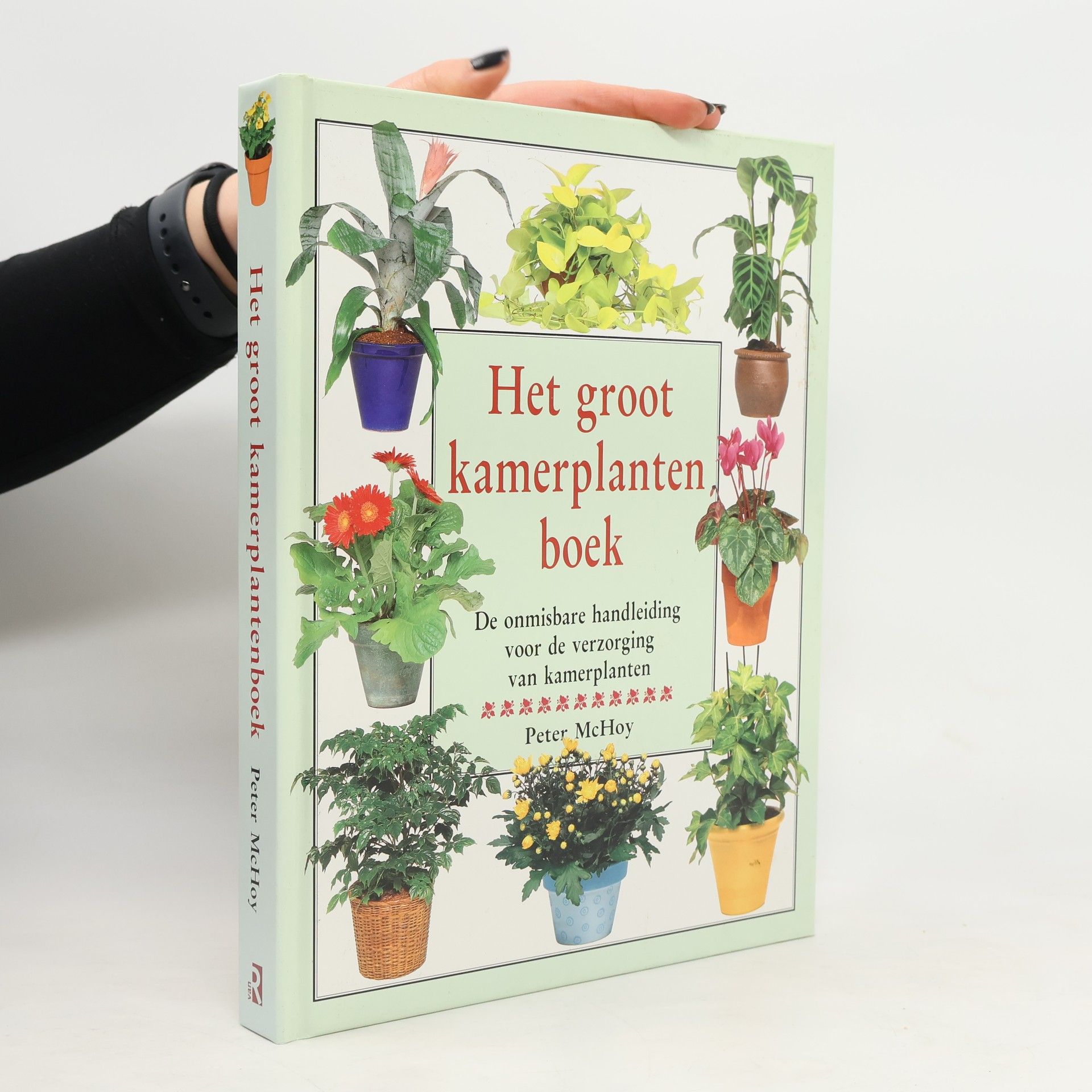 Het groot kamerplantenboek