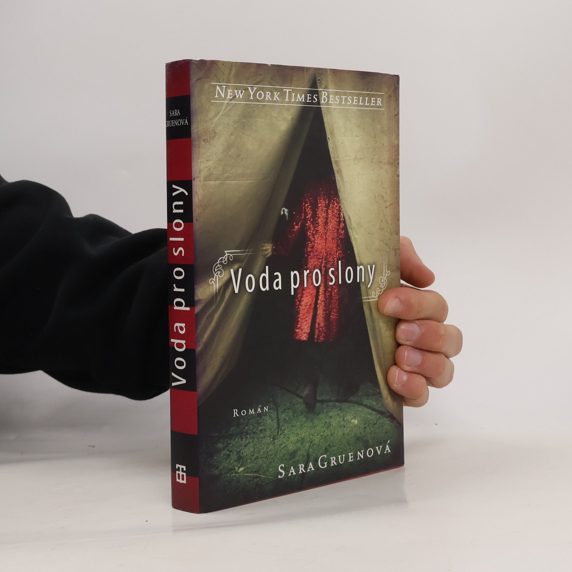 Sara Gruen Voda pro slony